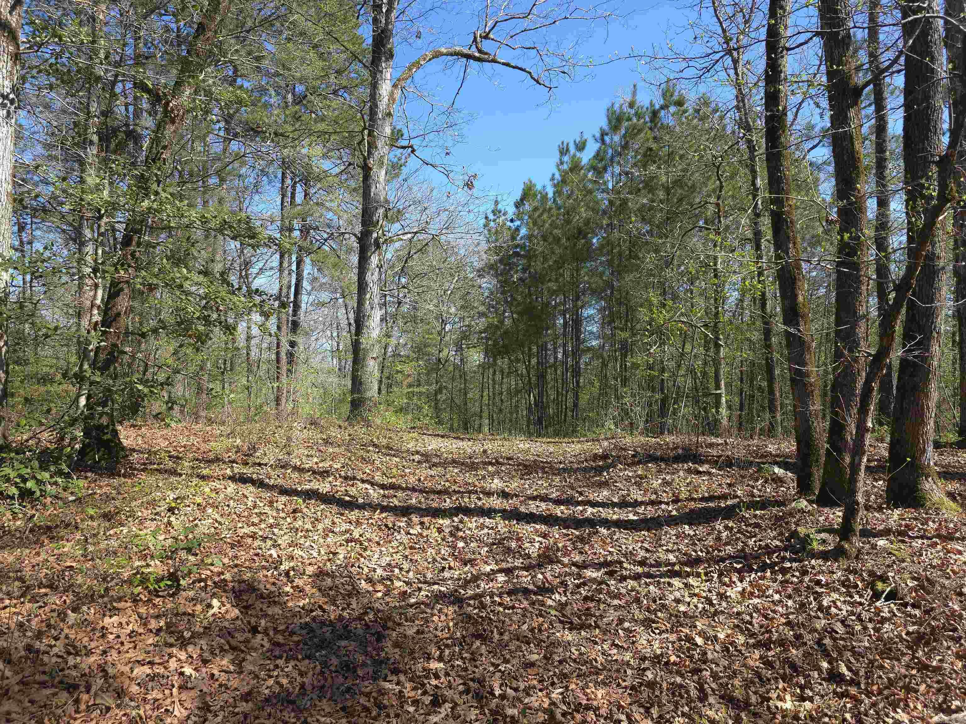 Tbd Shawmut Road Property Photo 36