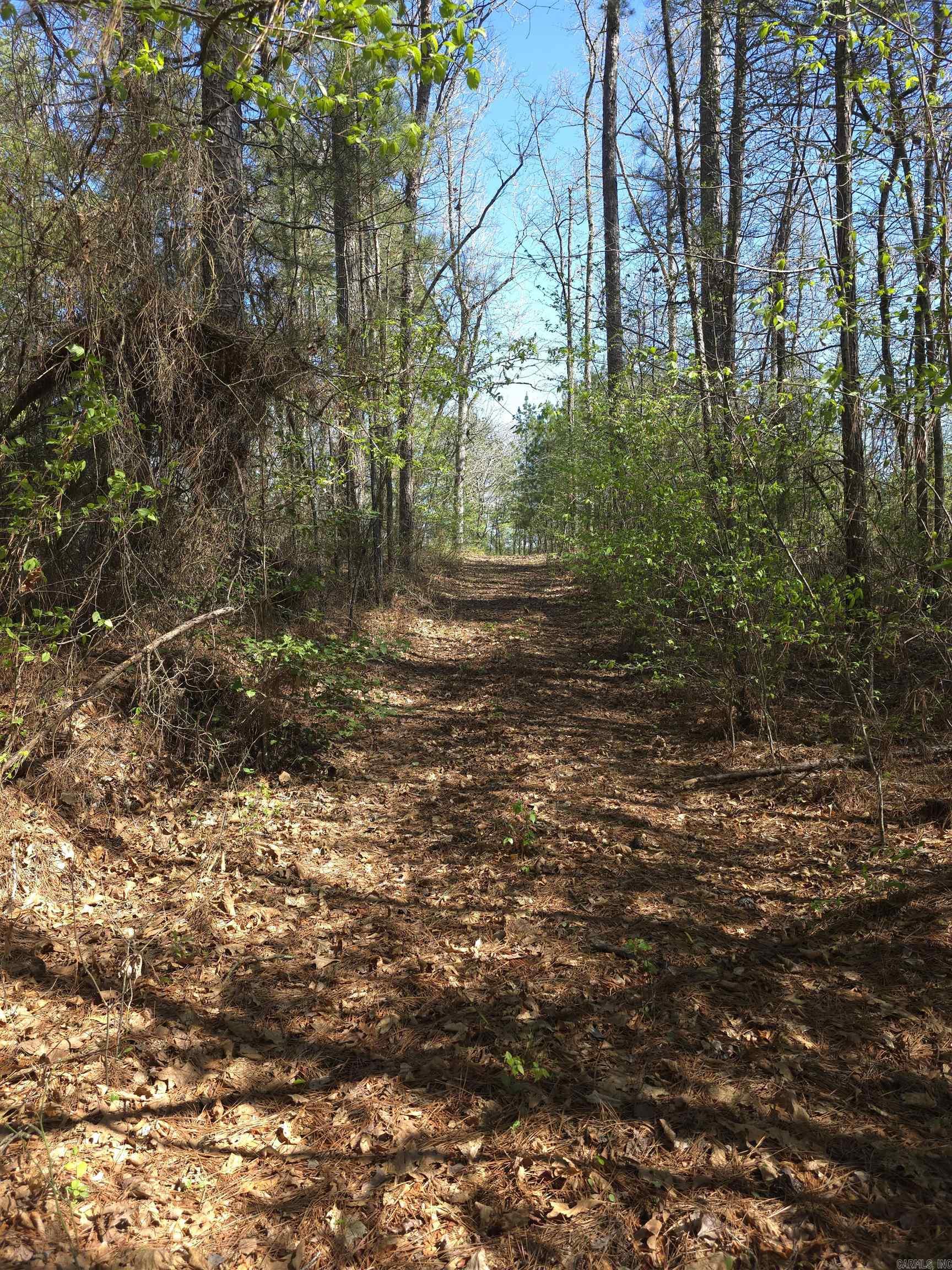 Tbd Shawmut Road Property Photo 37