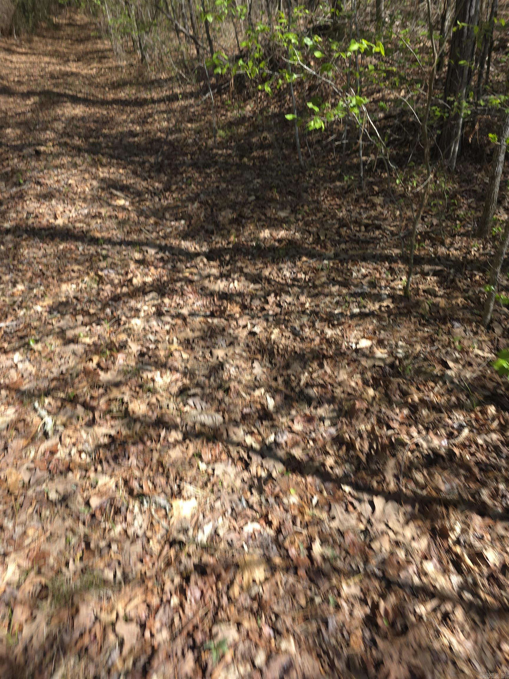 Tbd Shawmut Road Property Photo 38
