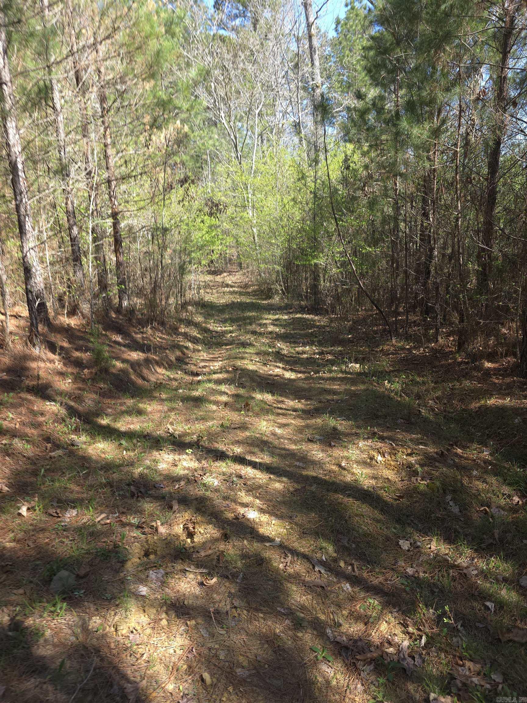 Tbd Shawmut Road Property Photo 39