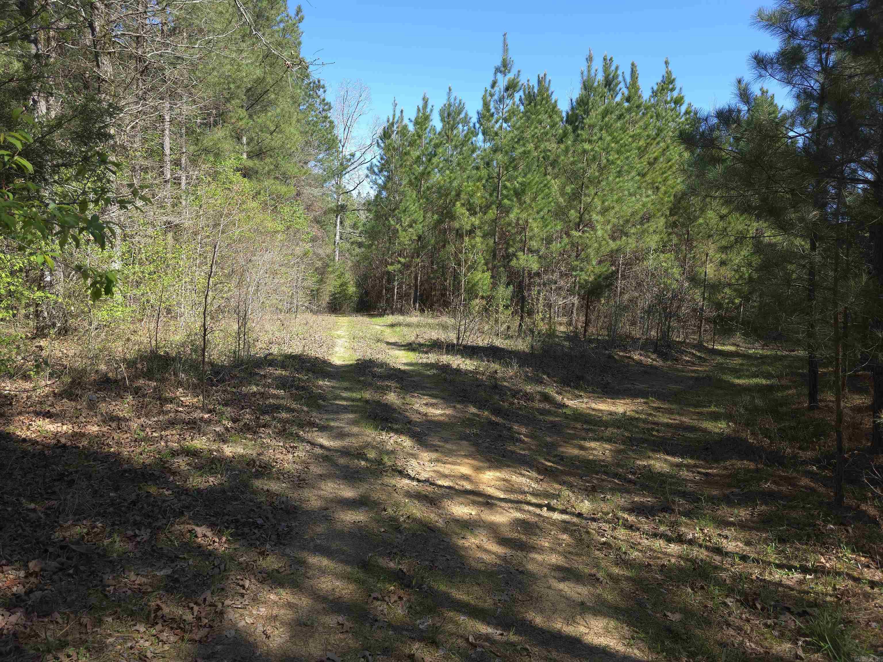 Tbd Shawmut Road Property Photo 43