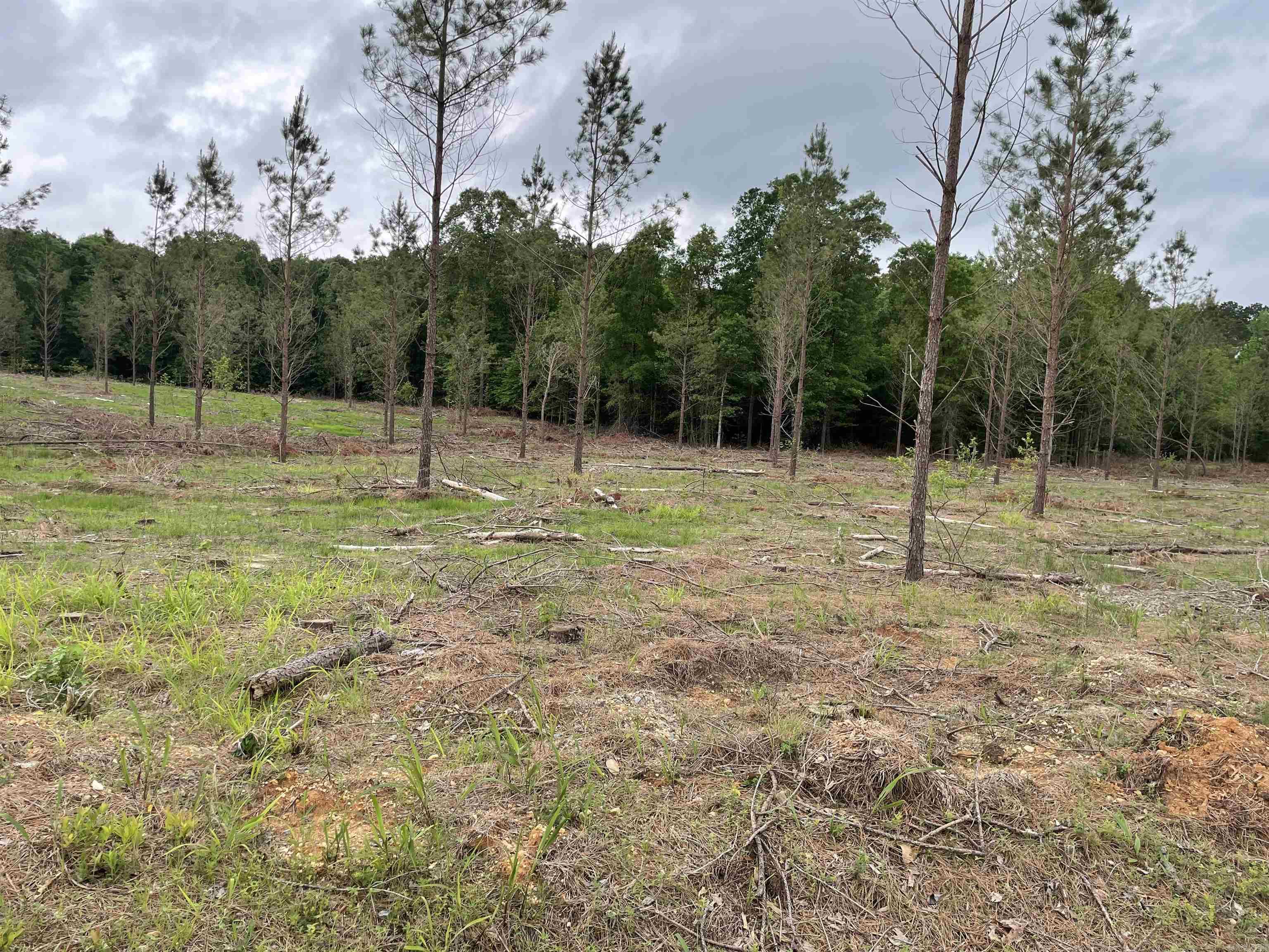 0 Grant 433 (tract B) Property Photo 3