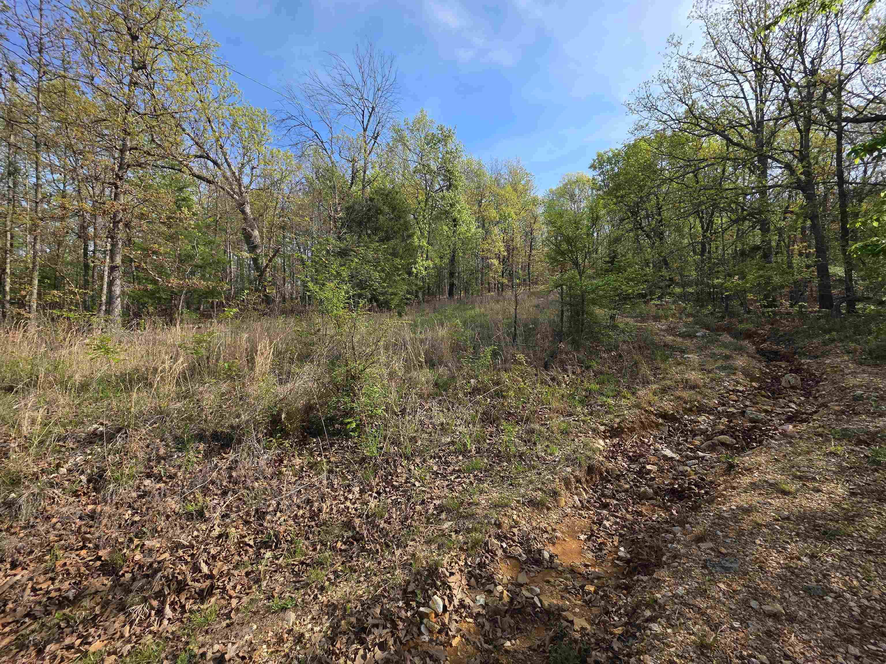 L-10 B-2 Rocky Top Trail Property Photo 2