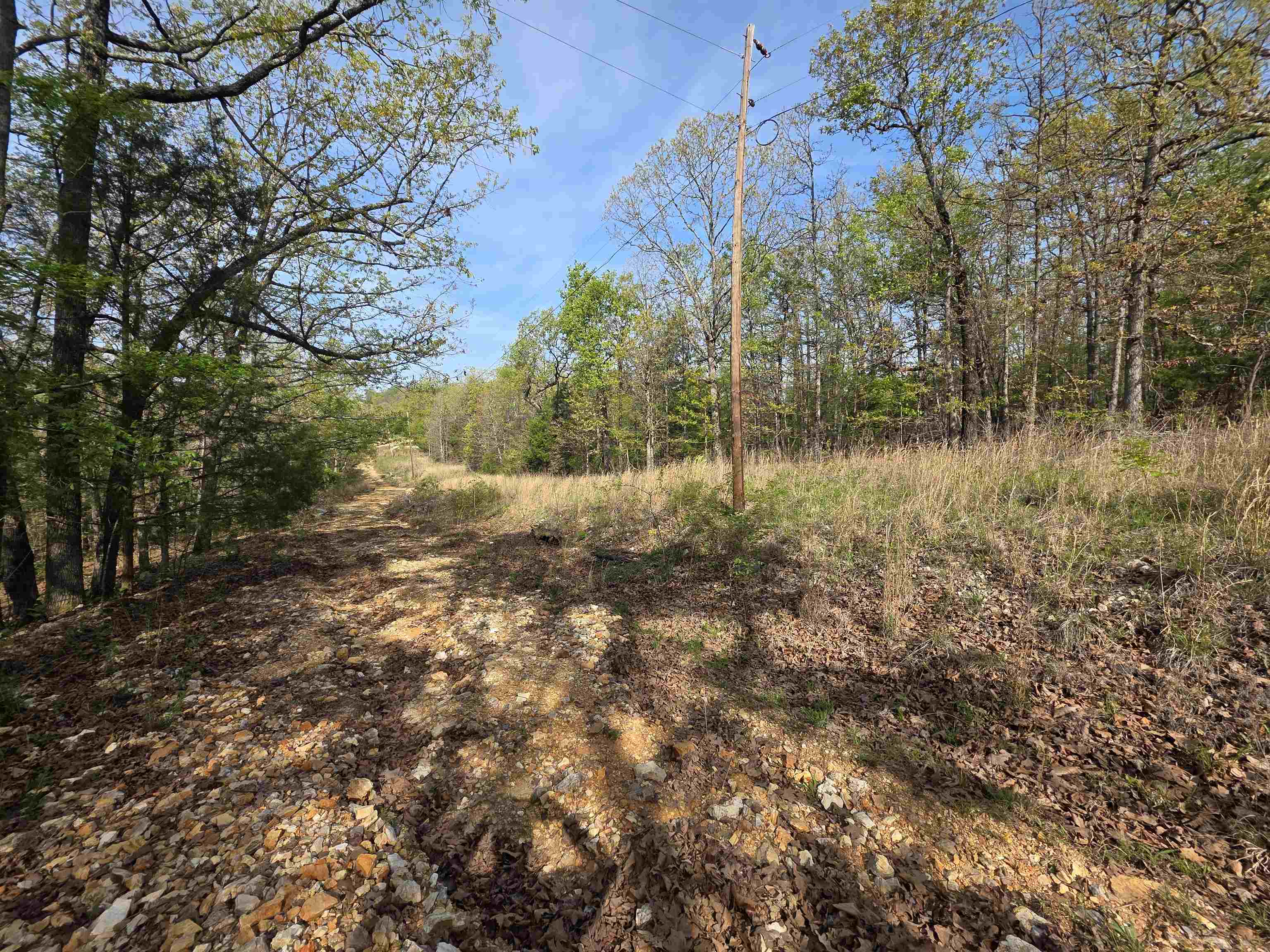 L-10 B-2 Rocky Top Trail Property Photo 3