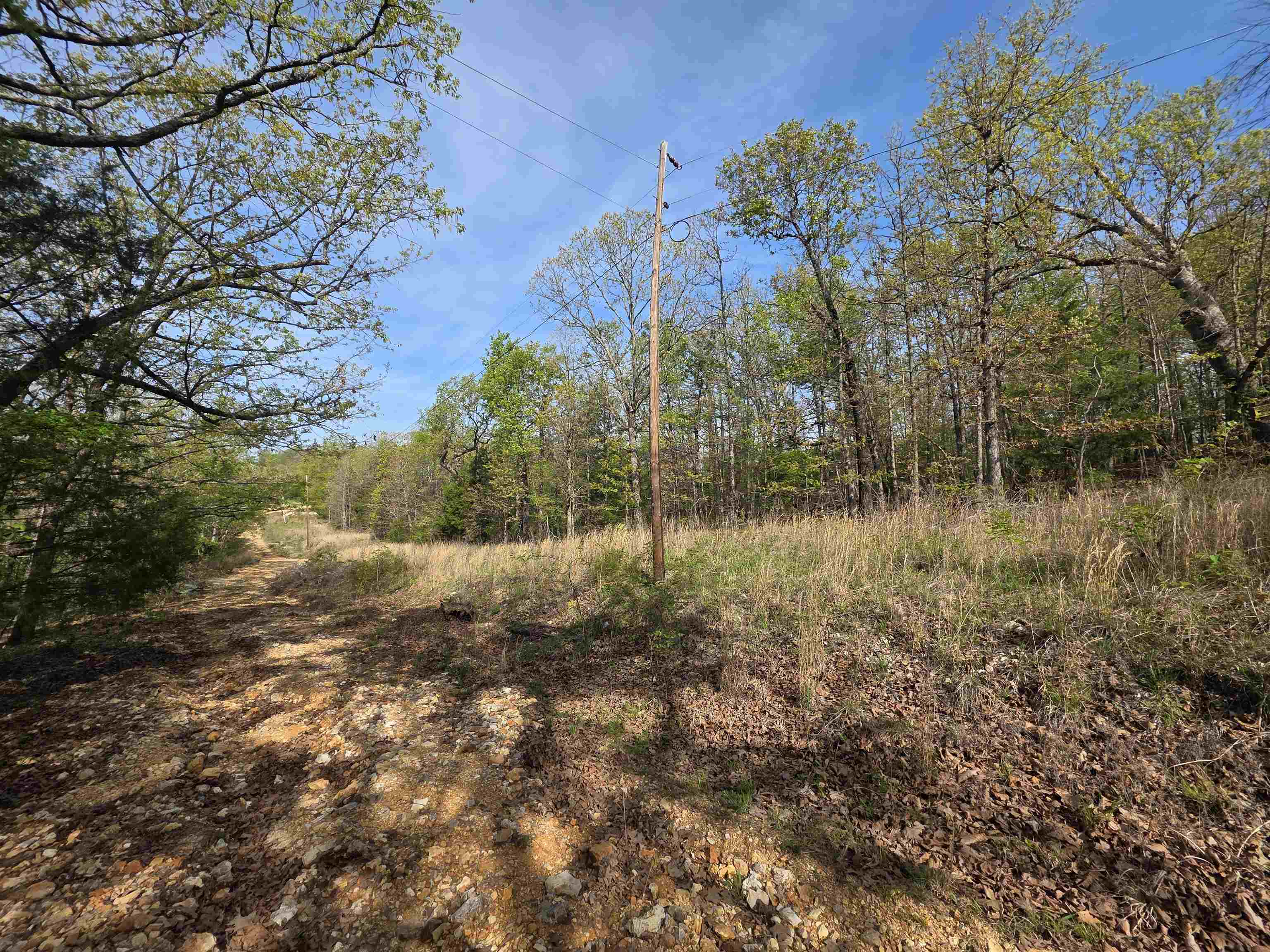 L-10 B-2 Rocky Top Trail Property Photo 4
