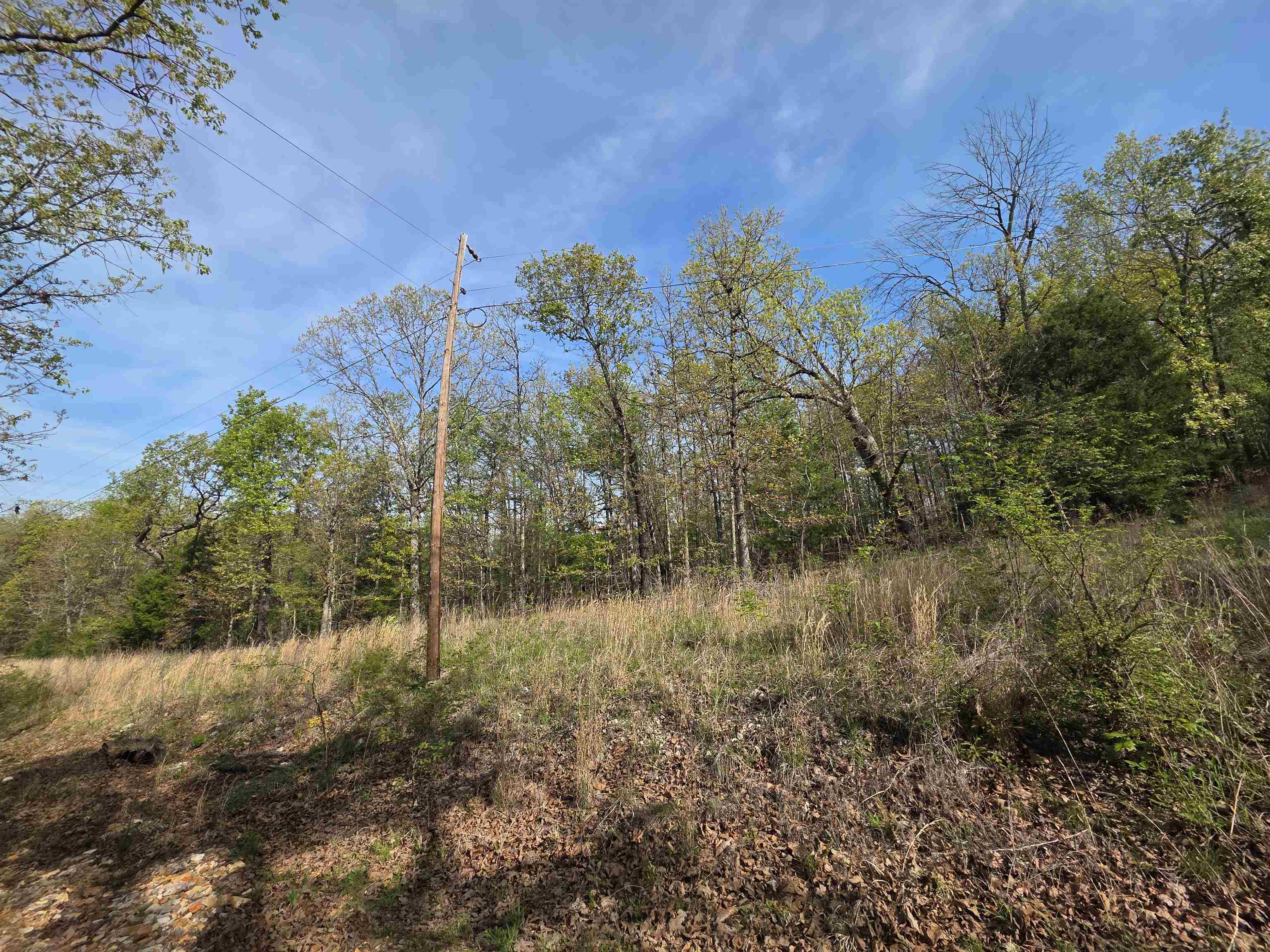 L-10 B-2 Rocky Top Trail Property Photo 5