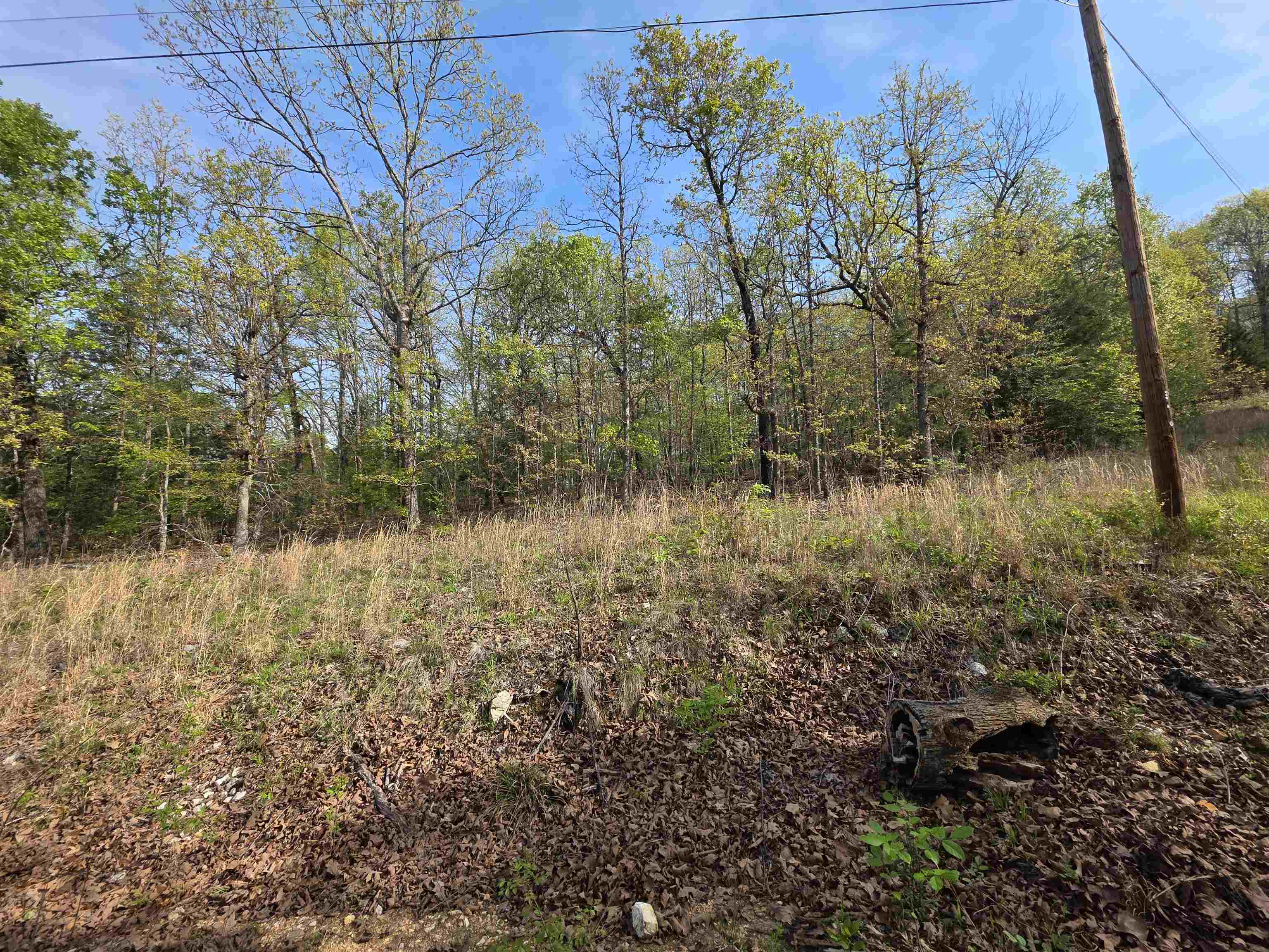 L-10 B-2 Rocky Top Trail Property Photo 6