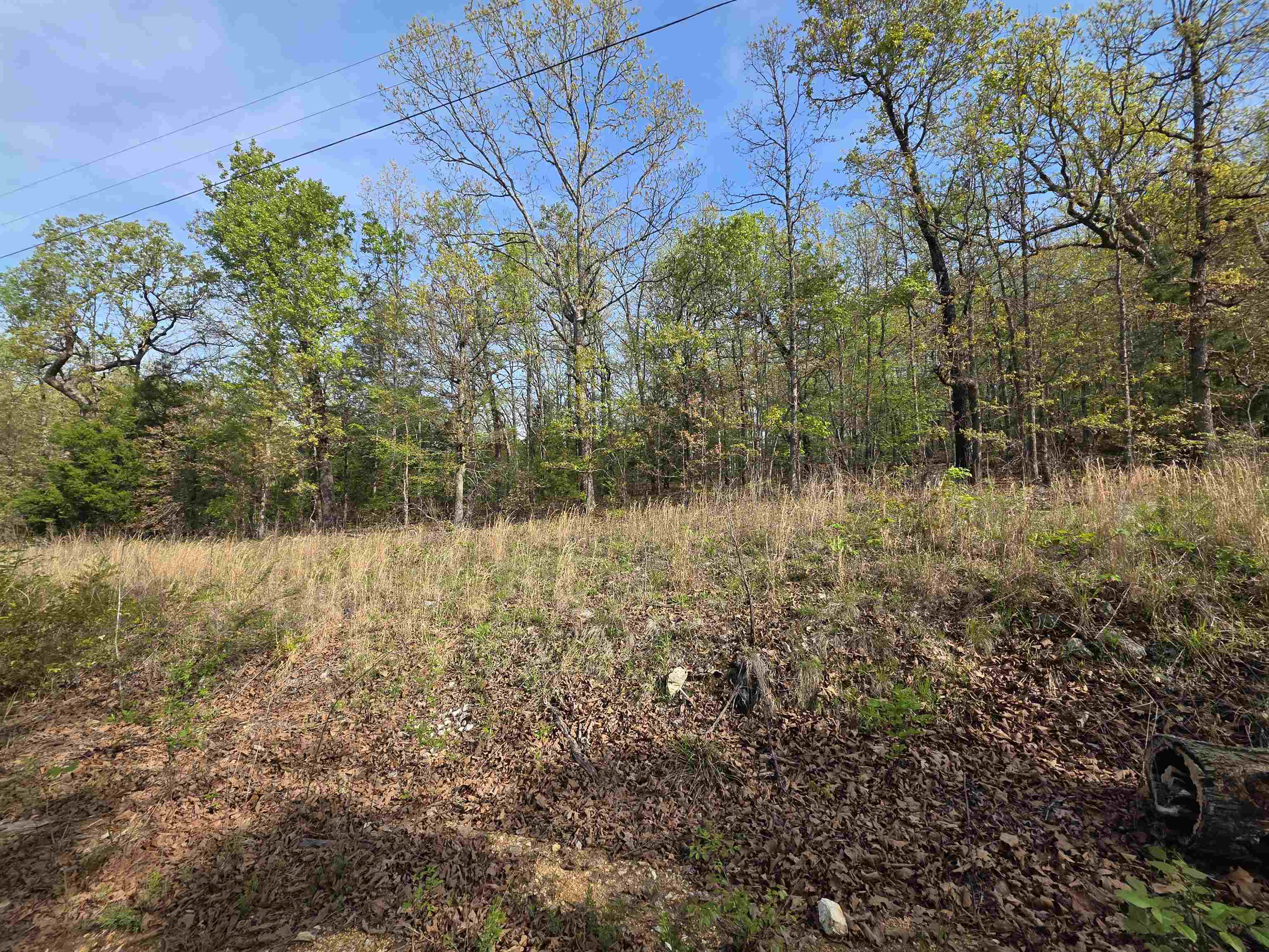 L-10 B-2 Rocky Top Trail Property Photo 7