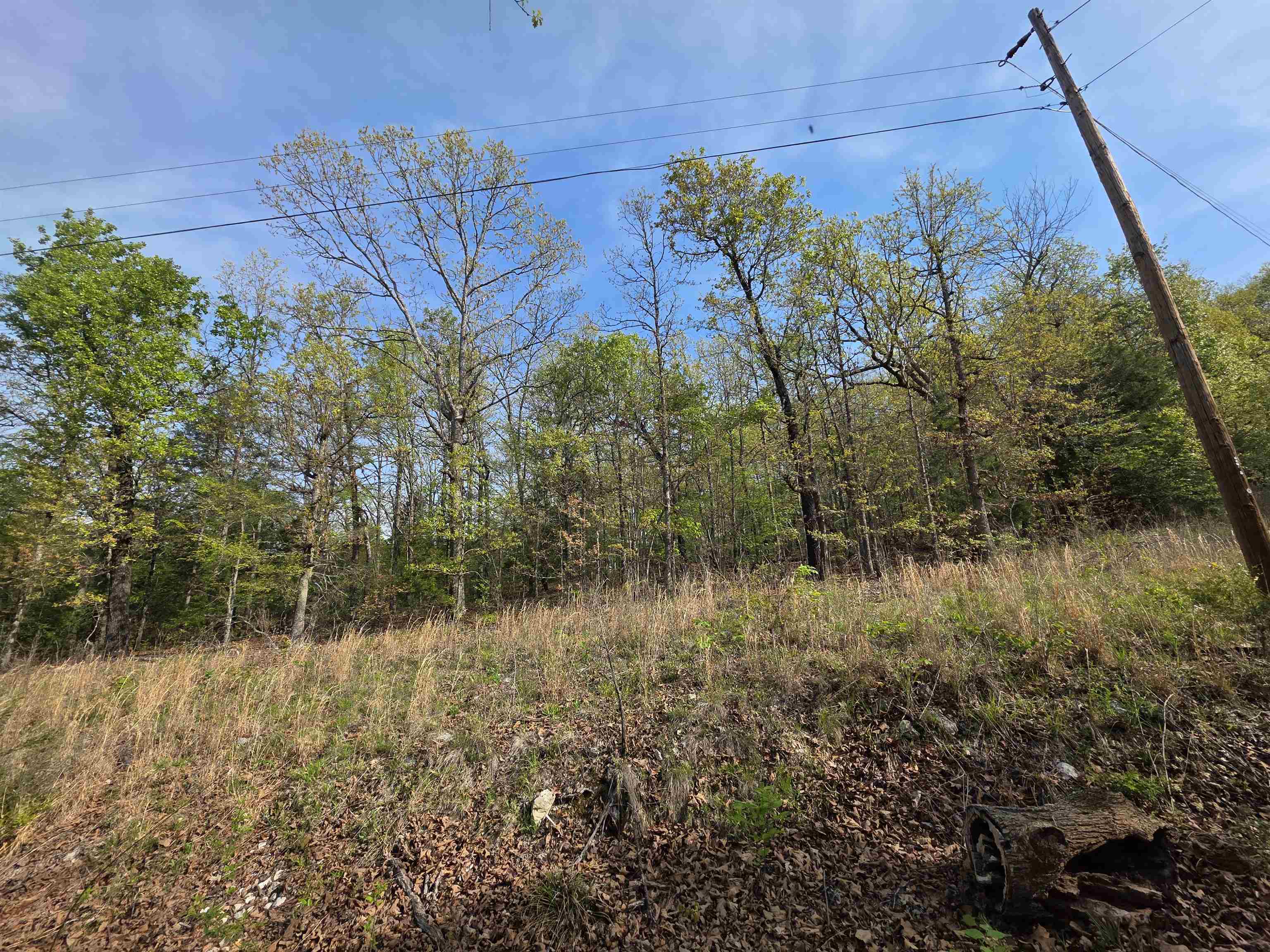 L-10 B-2 Rocky Top Trail Property Photo 8