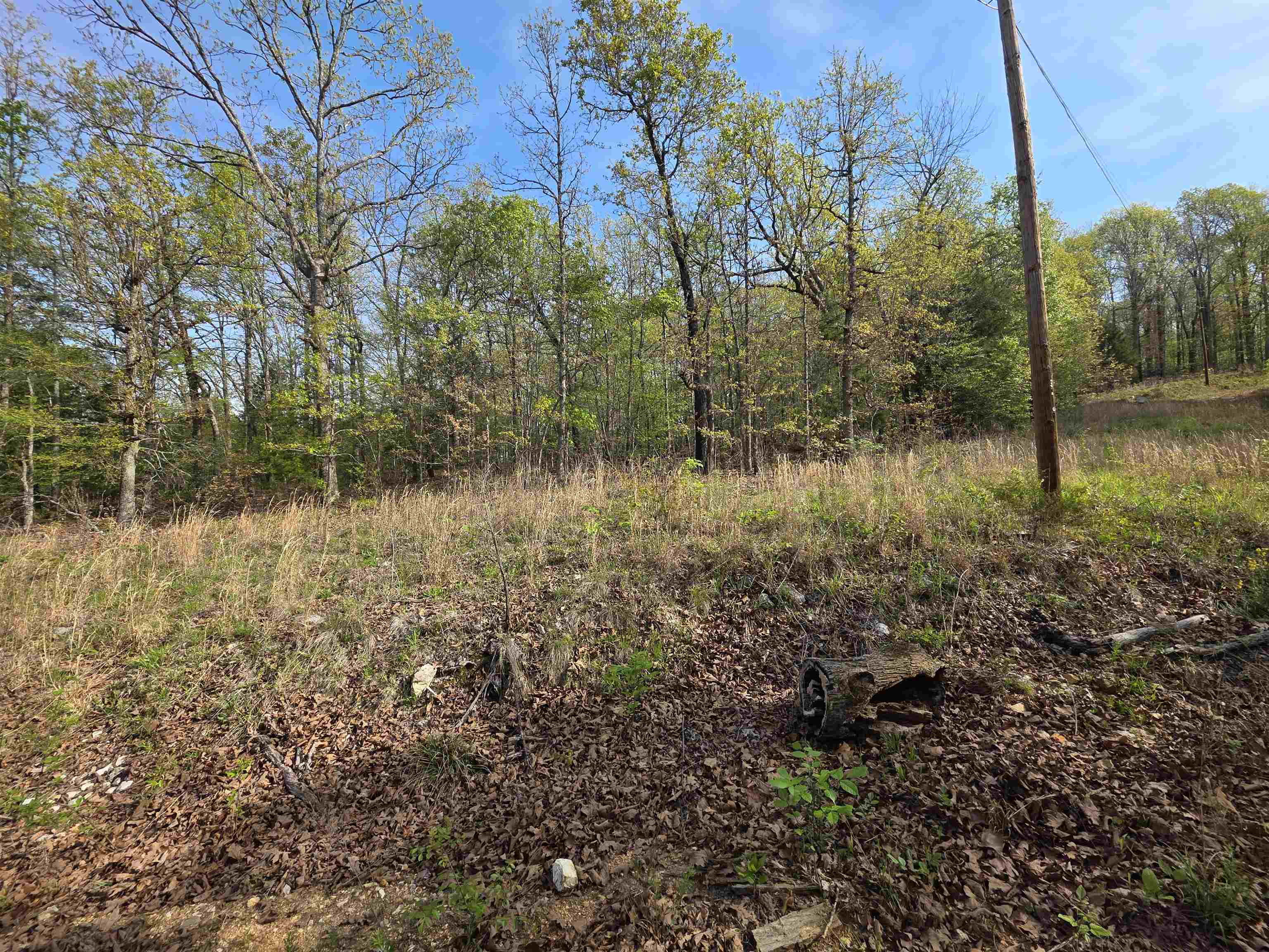 L-10 B-2 Rocky Top Trail Property Photo 9
