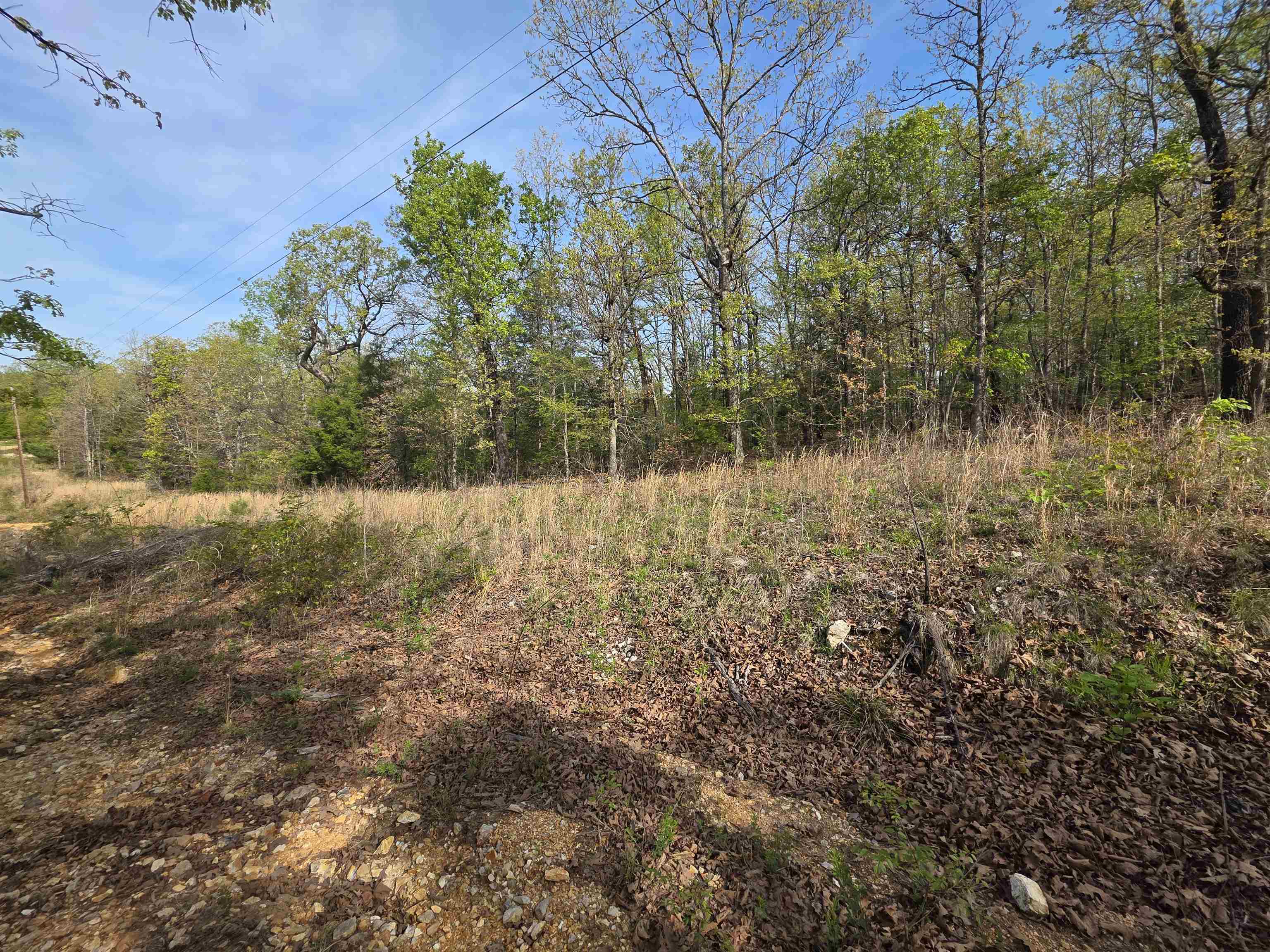 L-10 B-2 Rocky Top Trail Property Photo 10