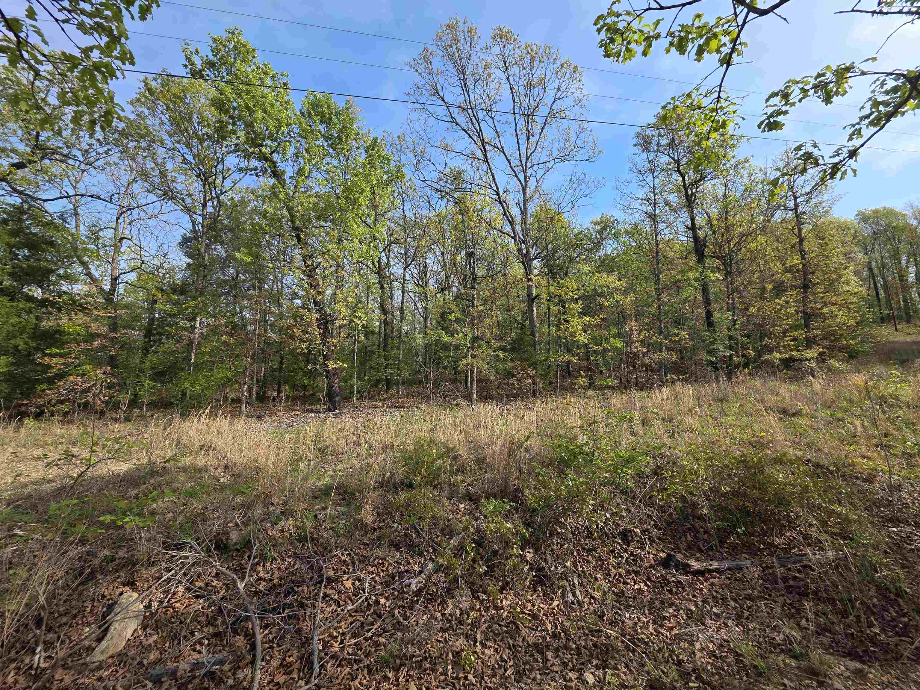 L-10 B-2 Rocky Top Trail Property Photo 11