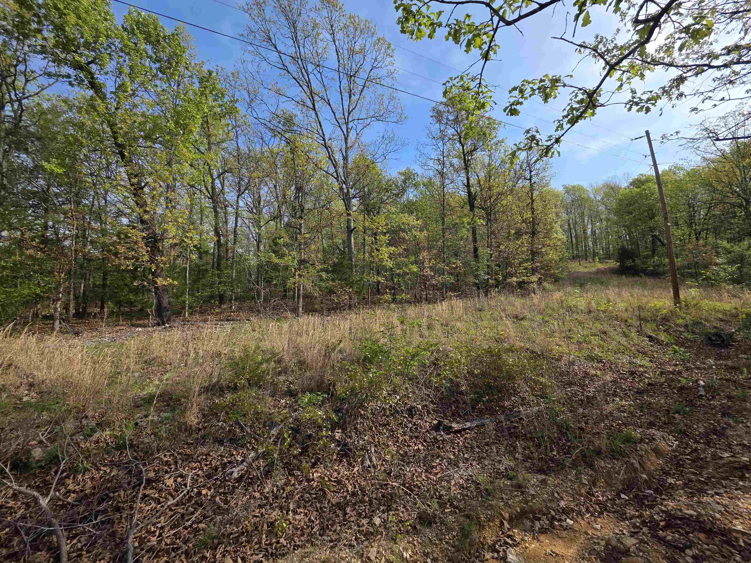 L-10 B-2 Rocky Top Trail Property Photo 12
