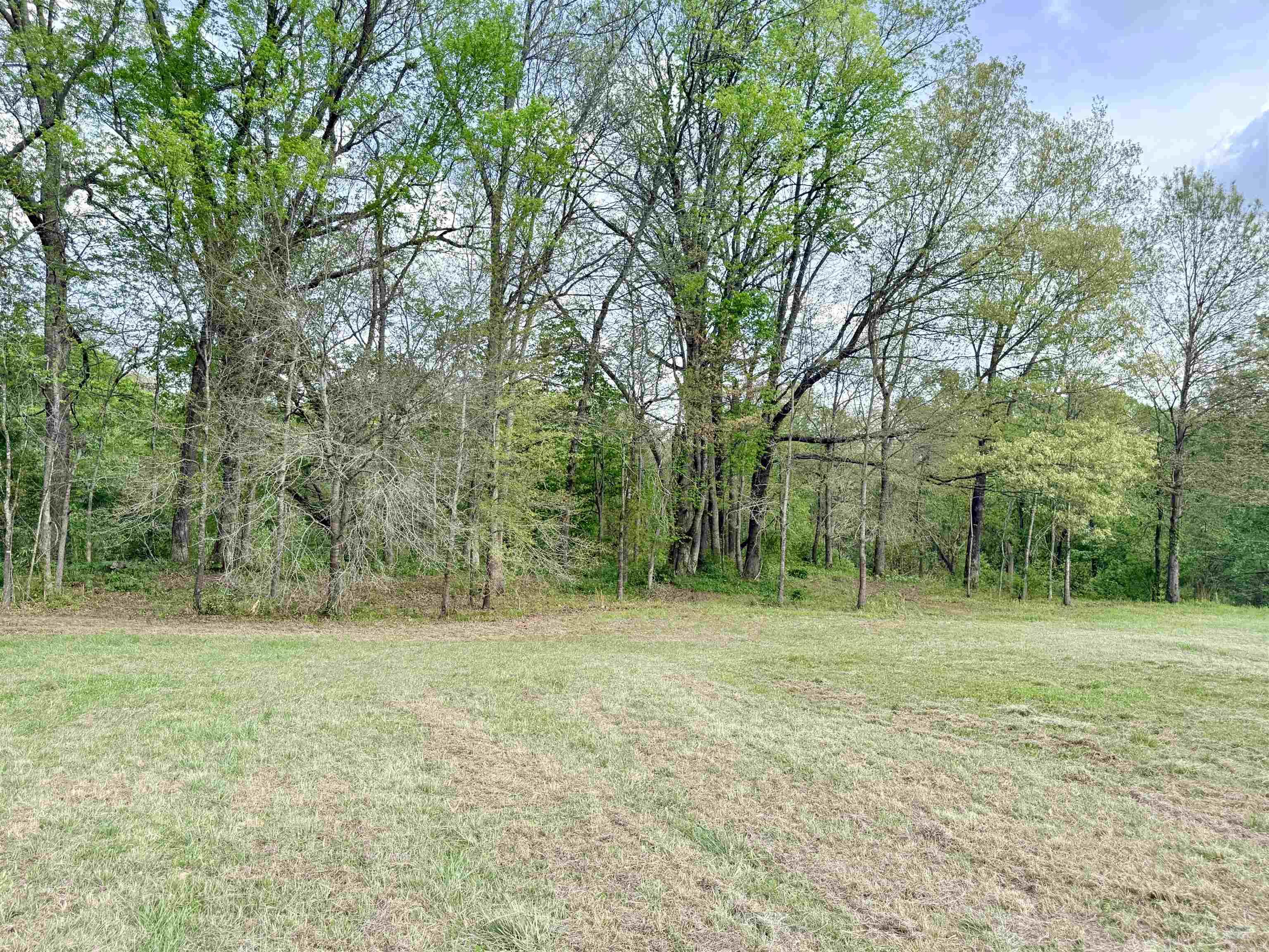 104a Adams Drive Property Photo 8