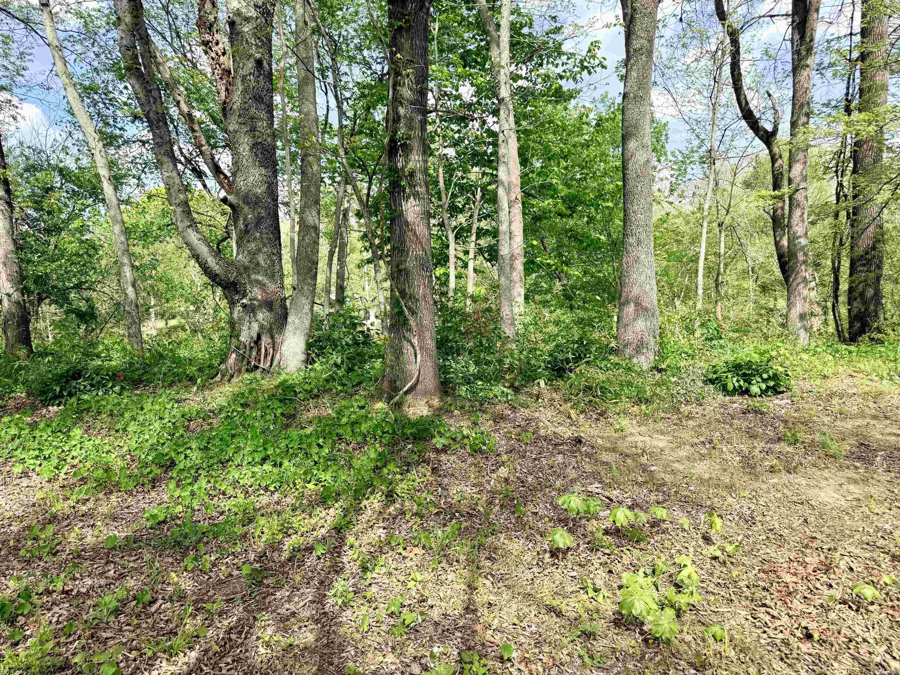 104a Adams Drive Property Photo 18