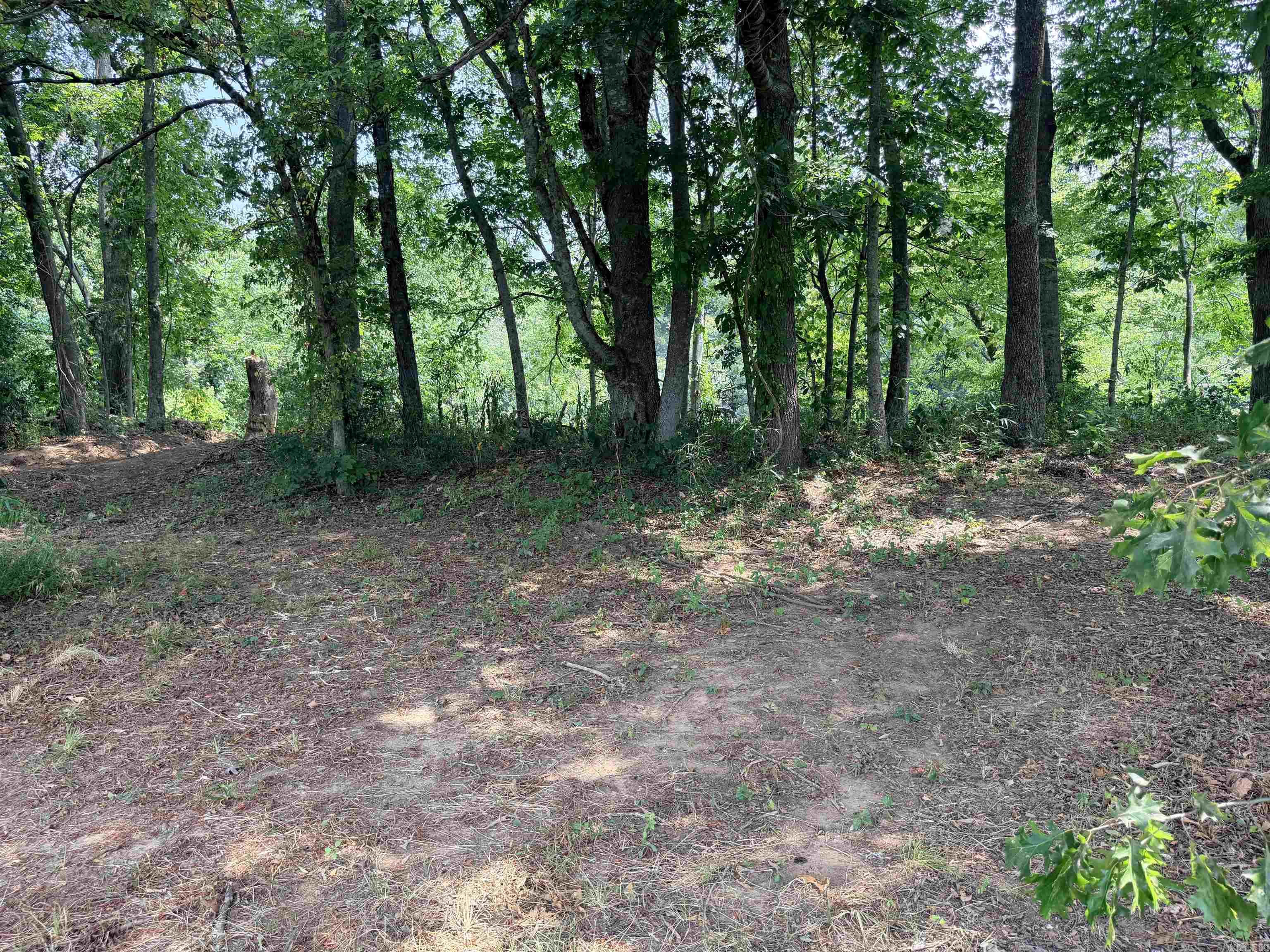 104a Adams Drive Property Photo 33