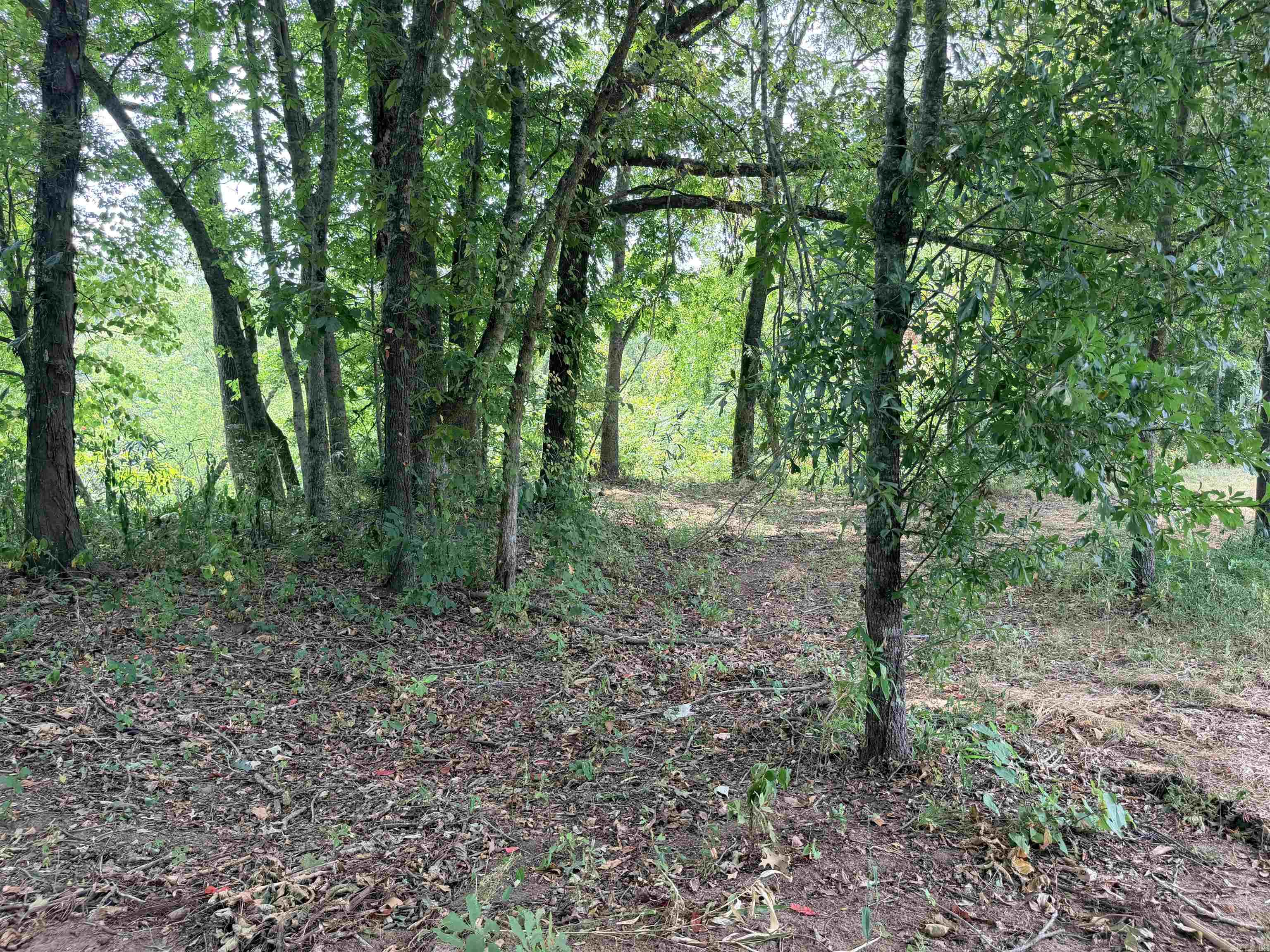 104a Adams Drive Property Photo 36