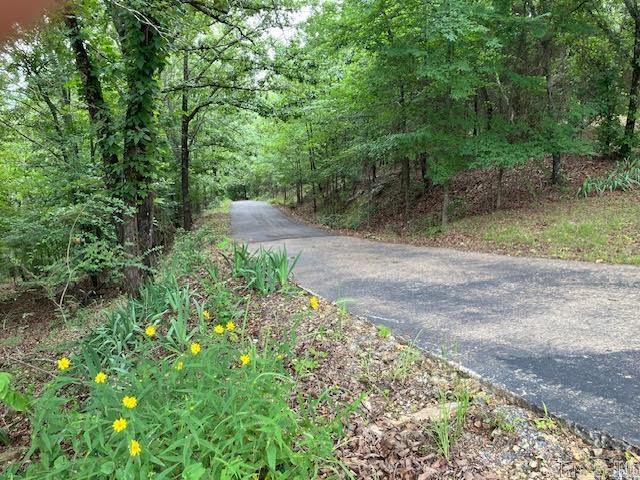 185 Lower Ridge Road Property Photo 9