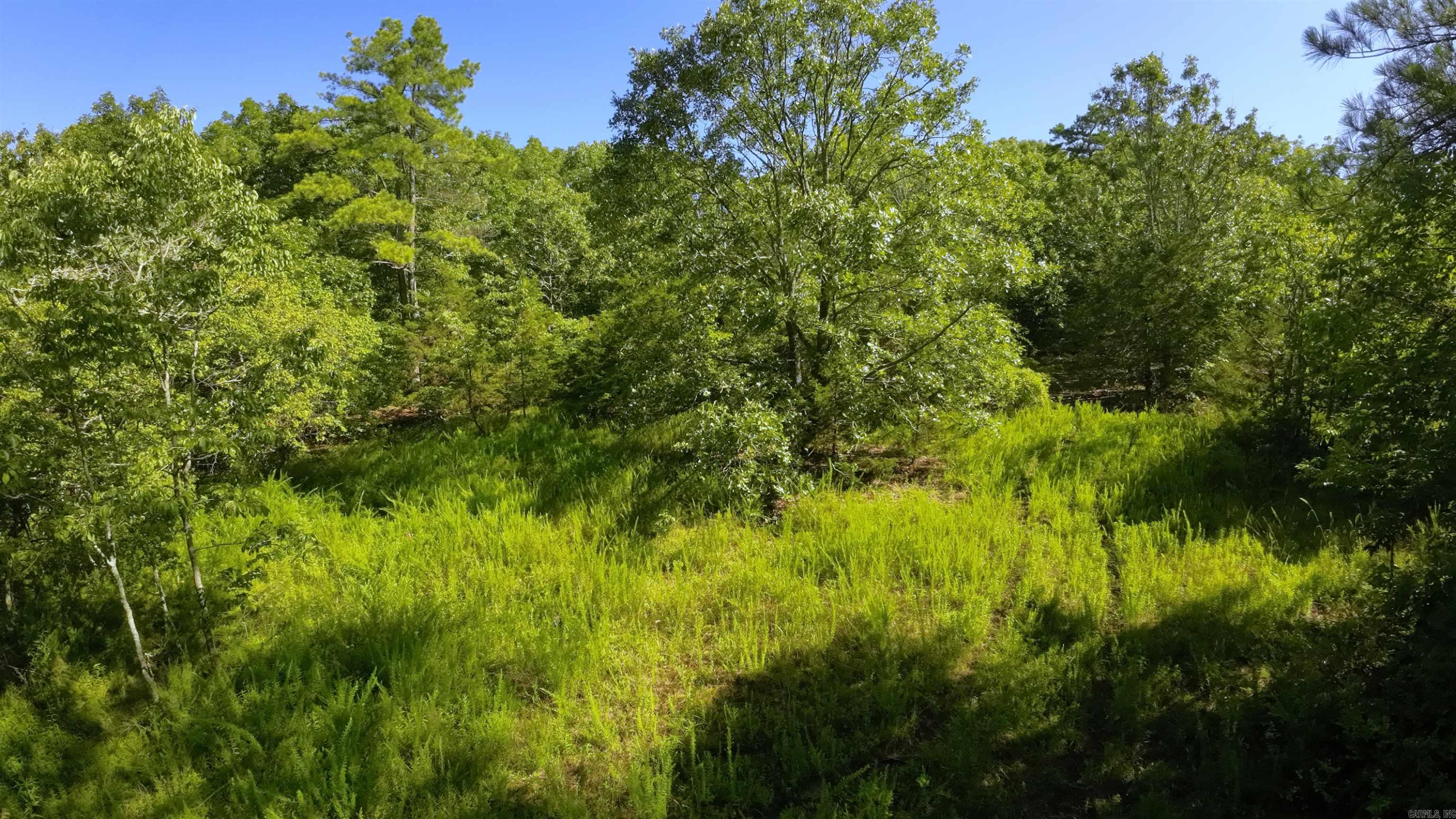 000 Fs 1548 Forest Property Photo 8