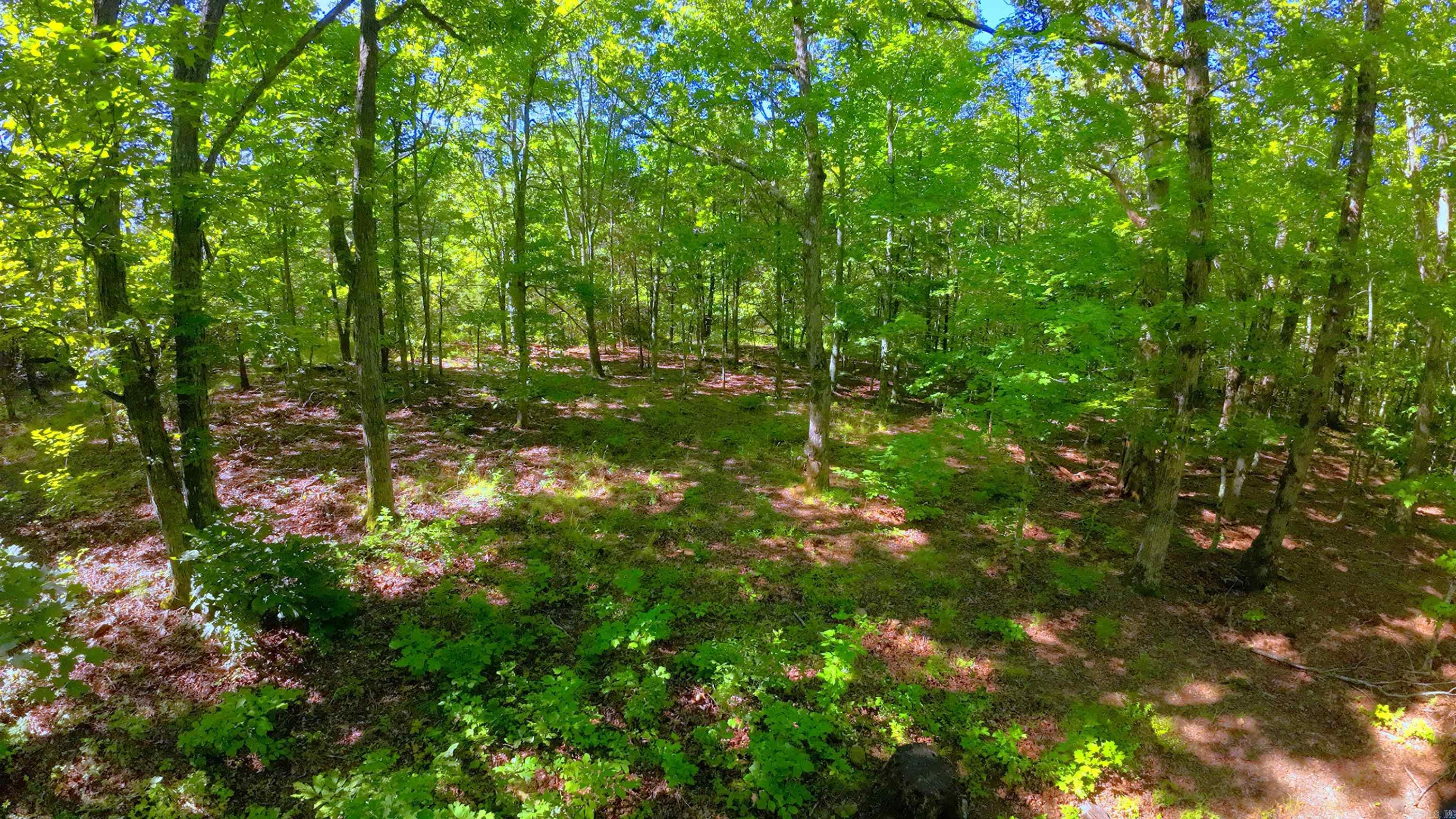 000 Fs 1548 Forest Property Photo 9