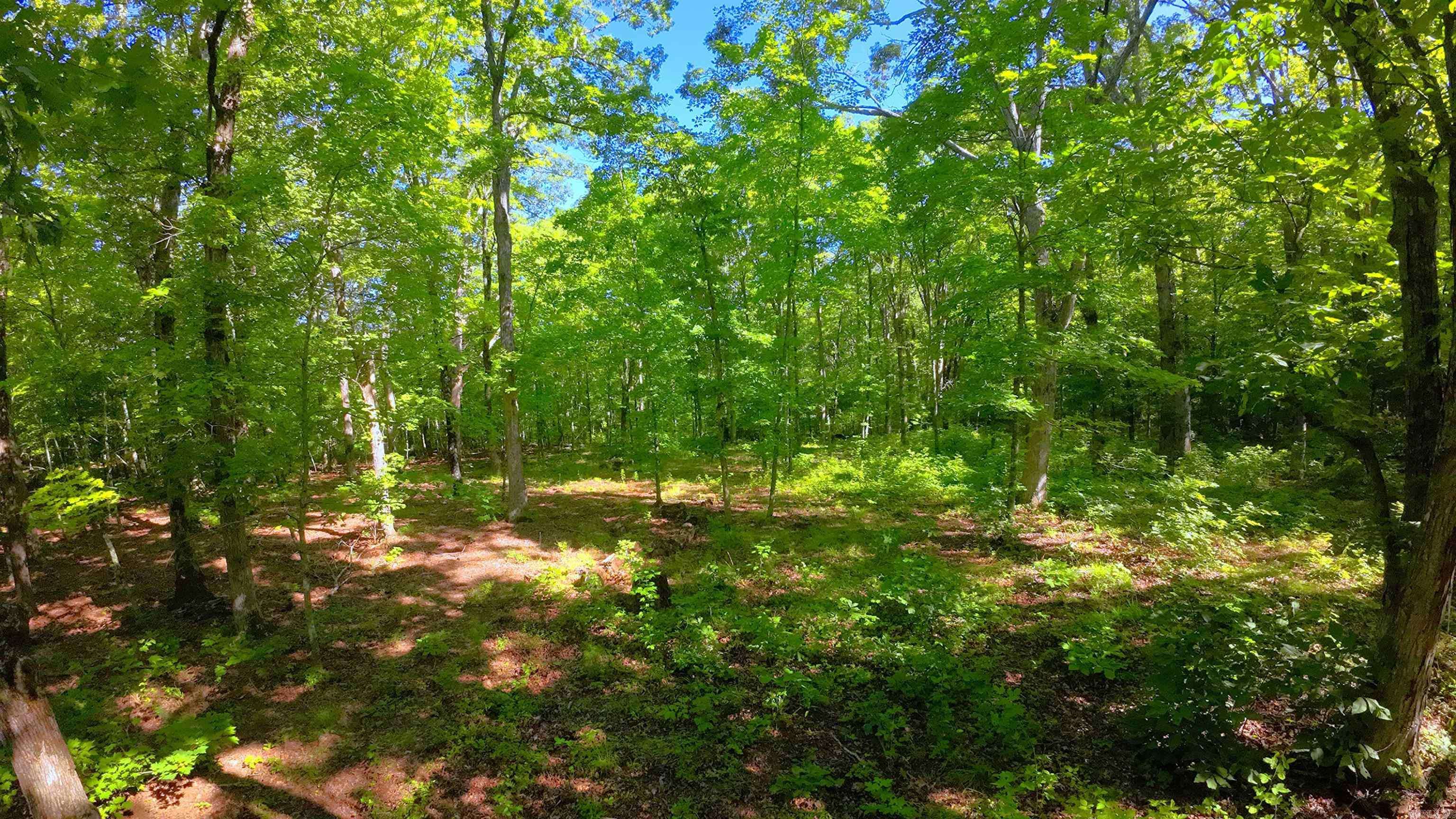 000 Fs 1548 Forest Property Photo 10