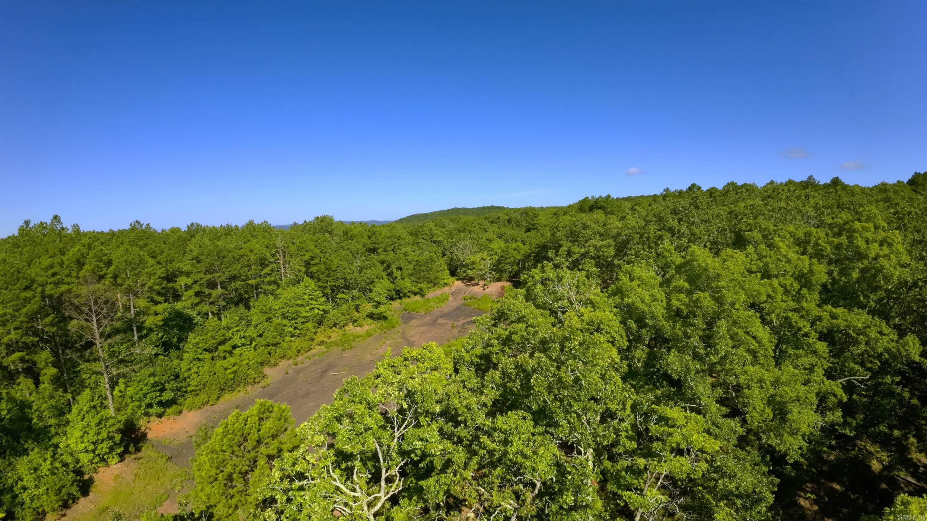 000 Fs 1548 Forest Property Photo 13