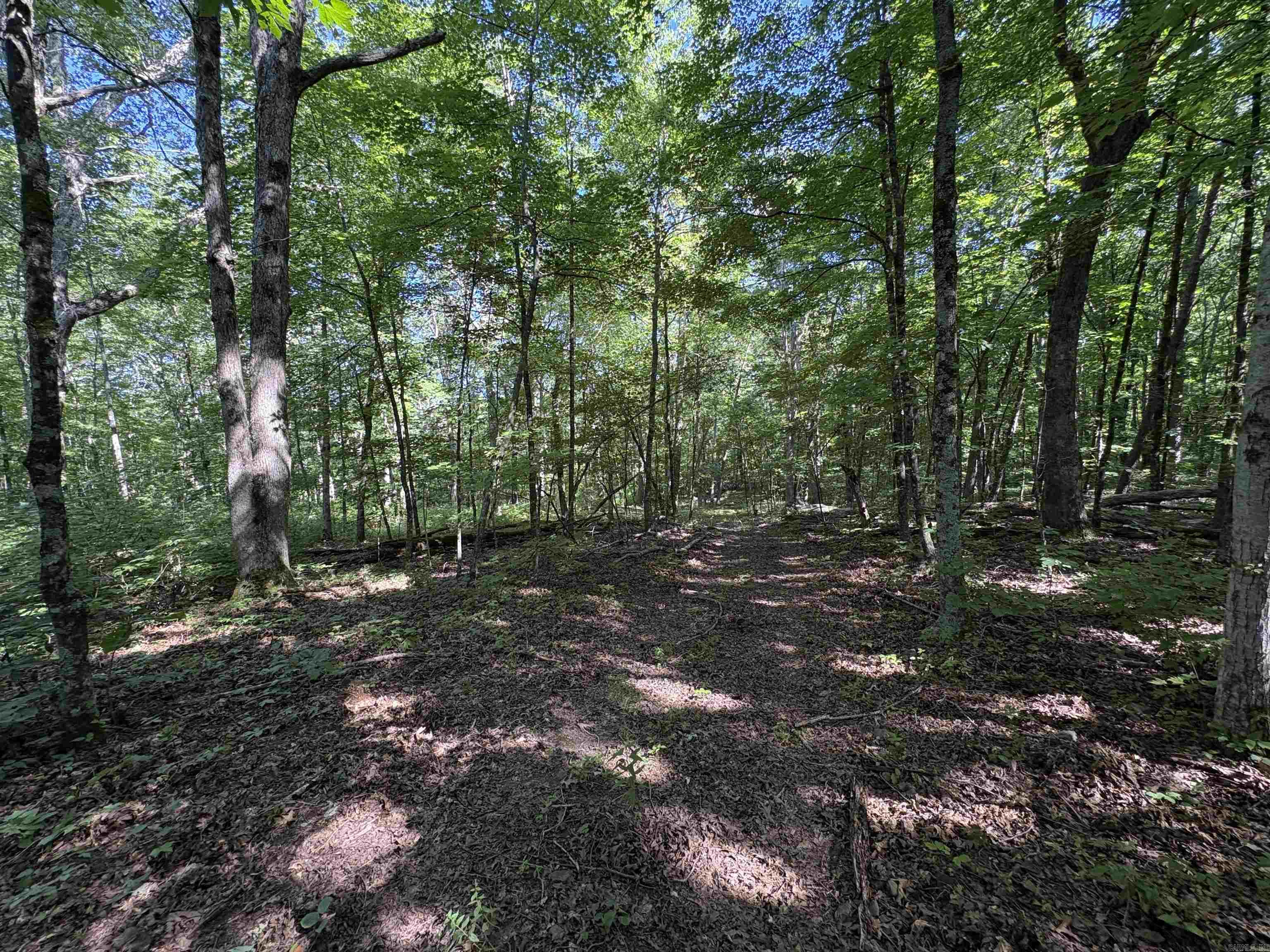 000 Fs 1548 Forest Property Photo 14