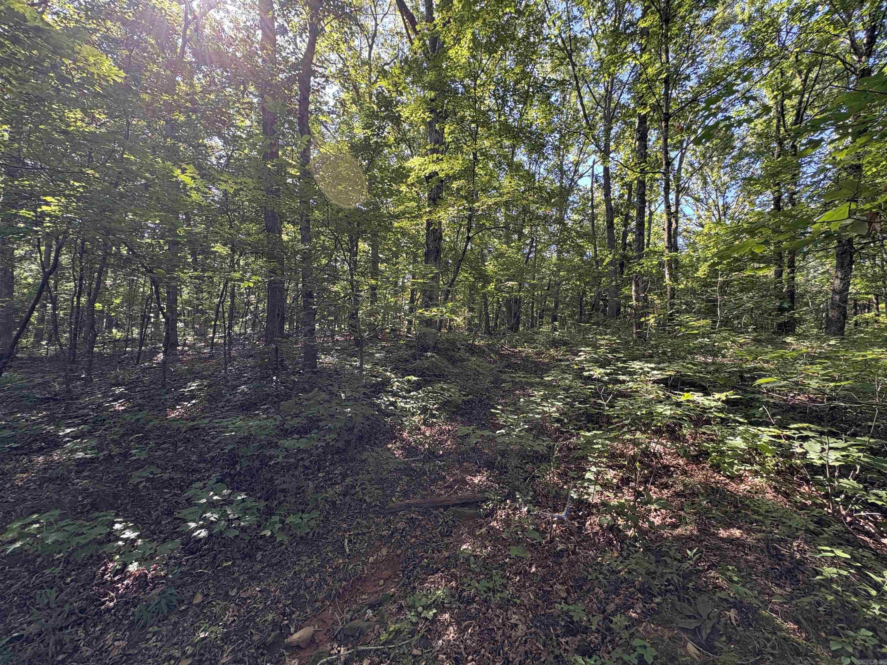 000 Fs 1548 Forest Property Photo 18