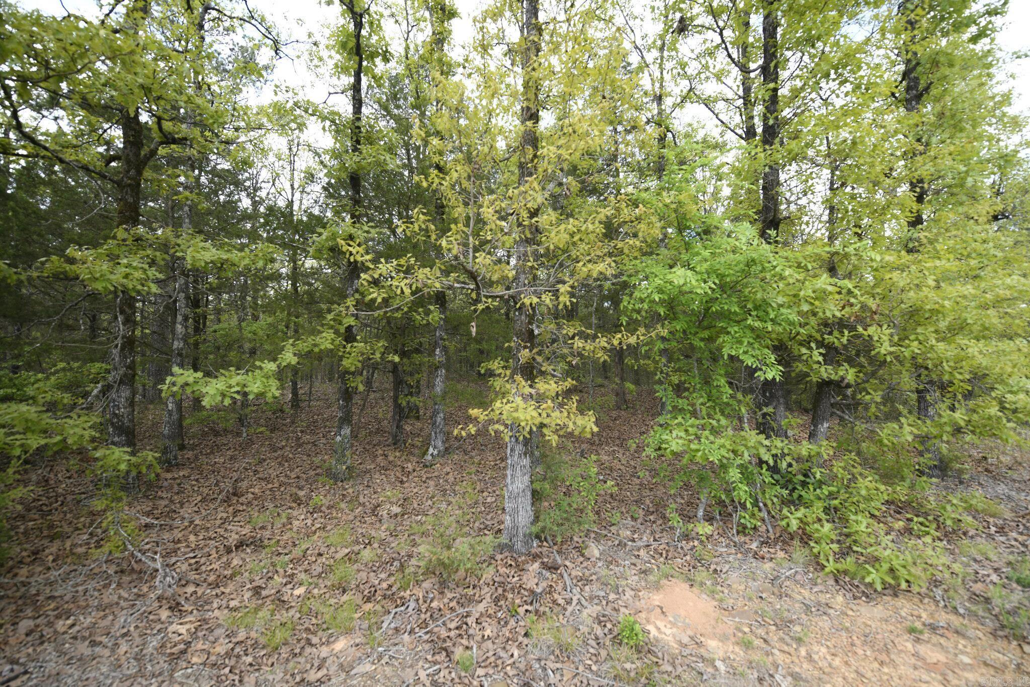 Tbd Rebecca's Road Property Photo 10