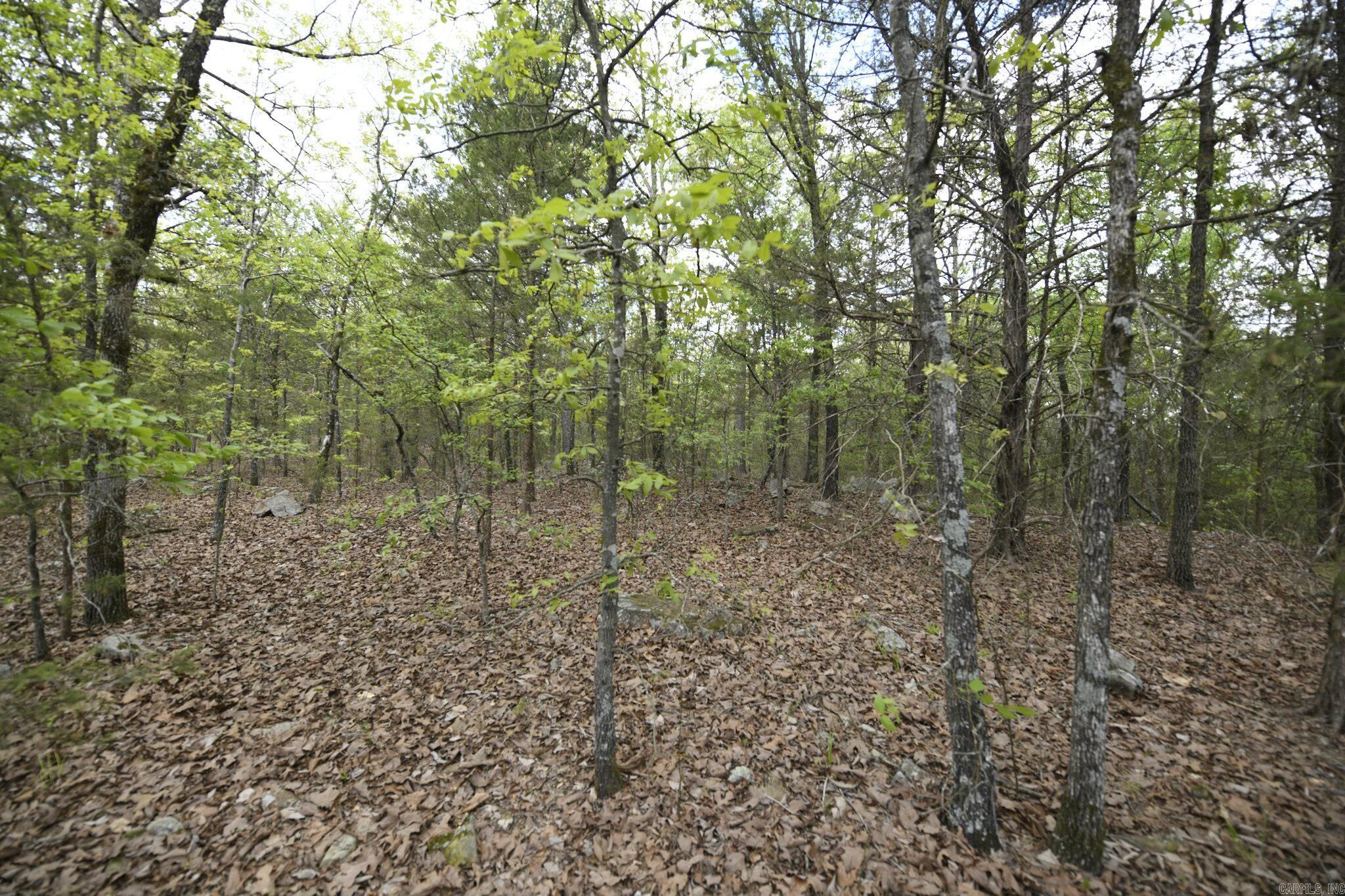 Tbd Rebecca's Road Property Photo 11