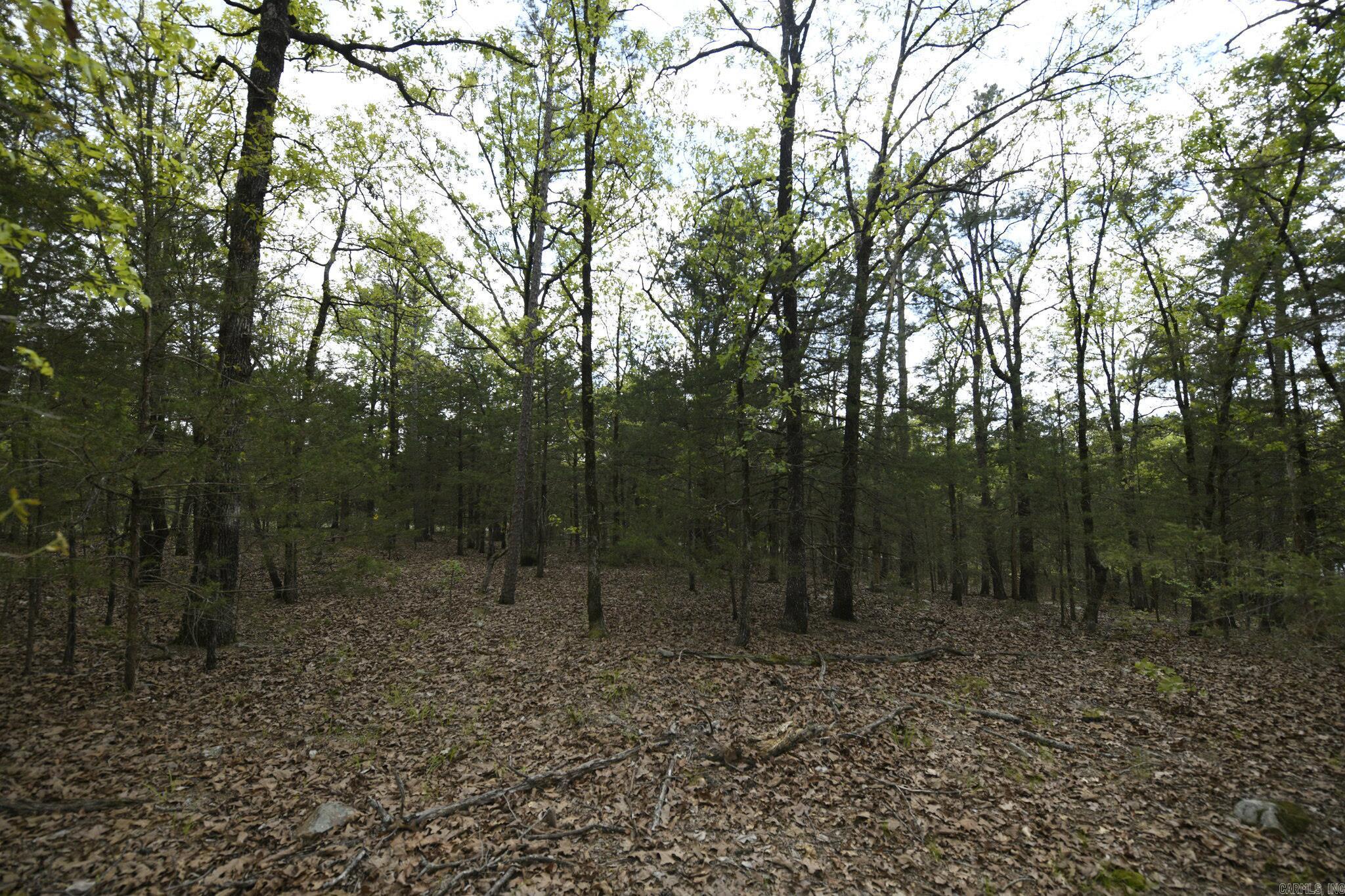 Tbd Rebecca's Road Property Photo 12