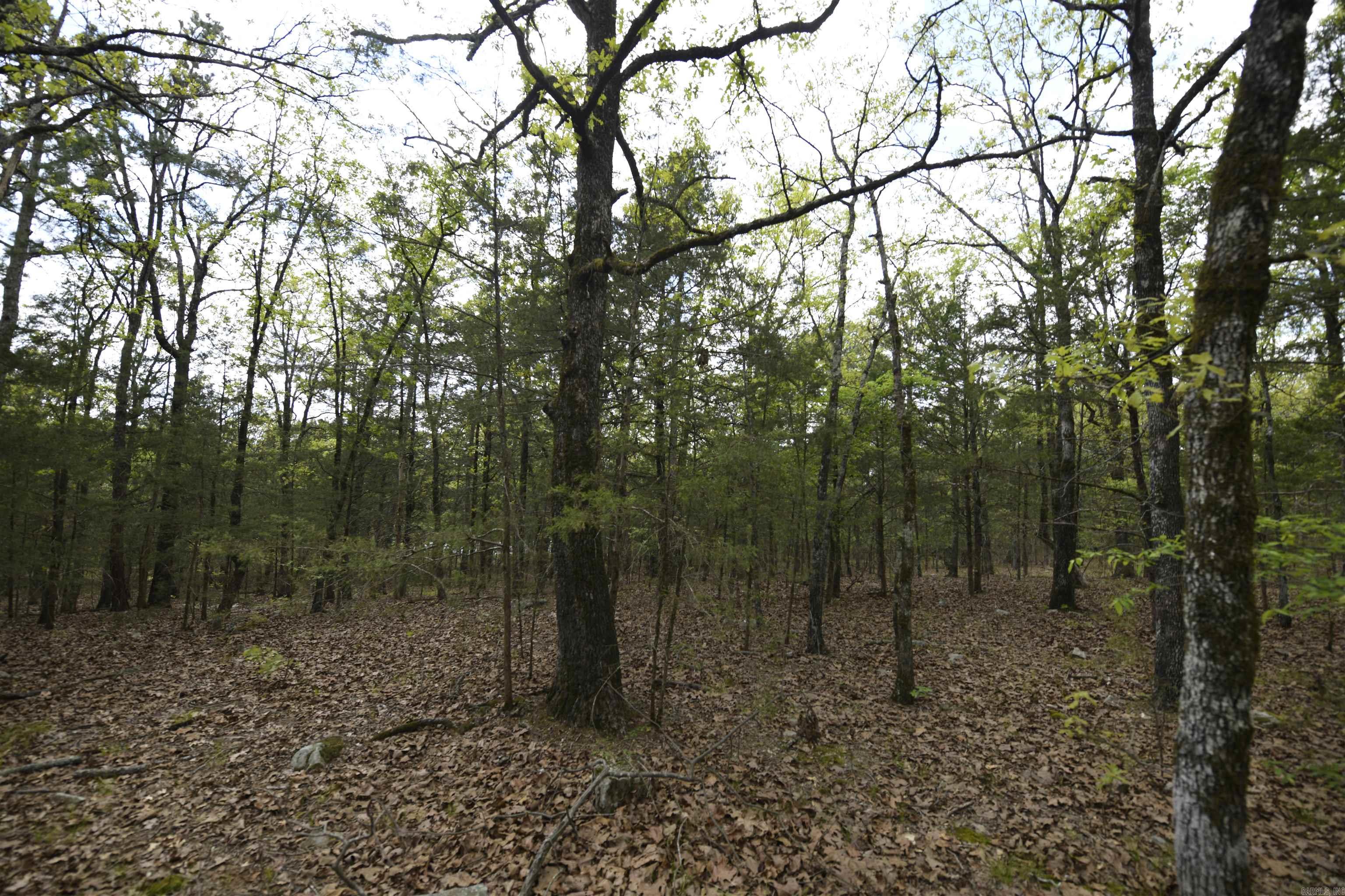 Tbd Rebecca's Road Property Photo 13