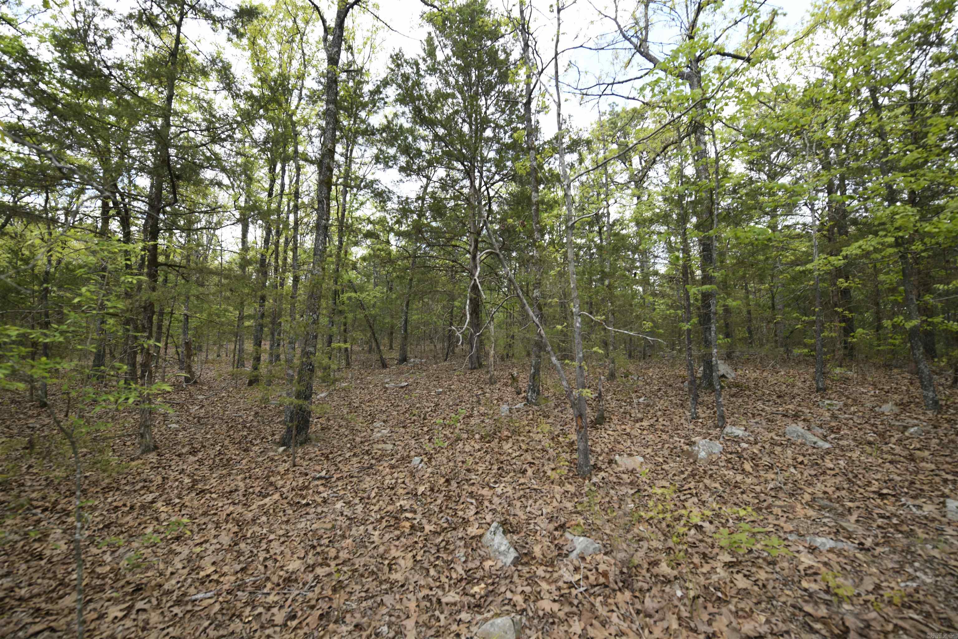 Tbd Rebecca's Road Property Photo 14
