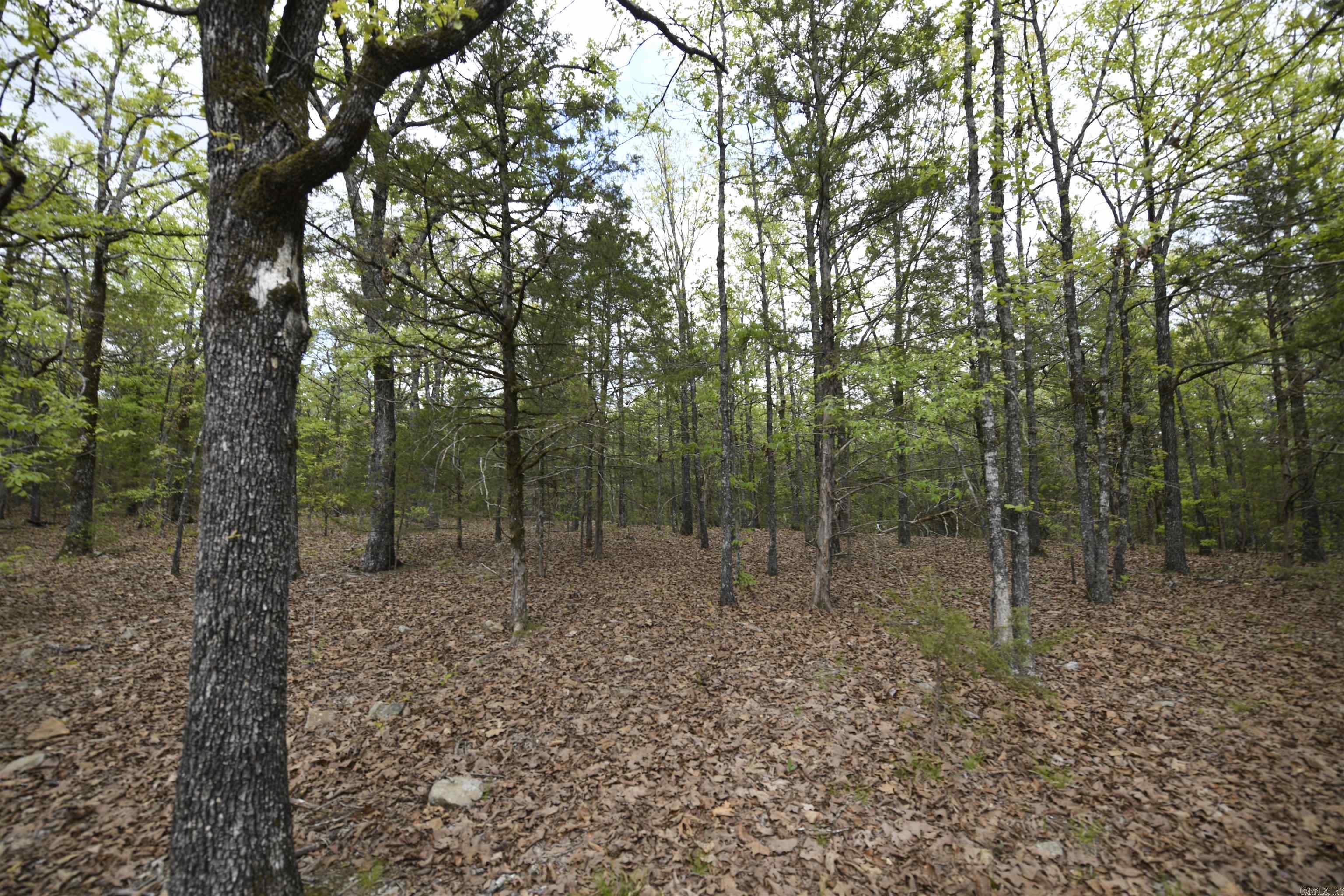 Tbd Rebecca's Road Property Photo 15