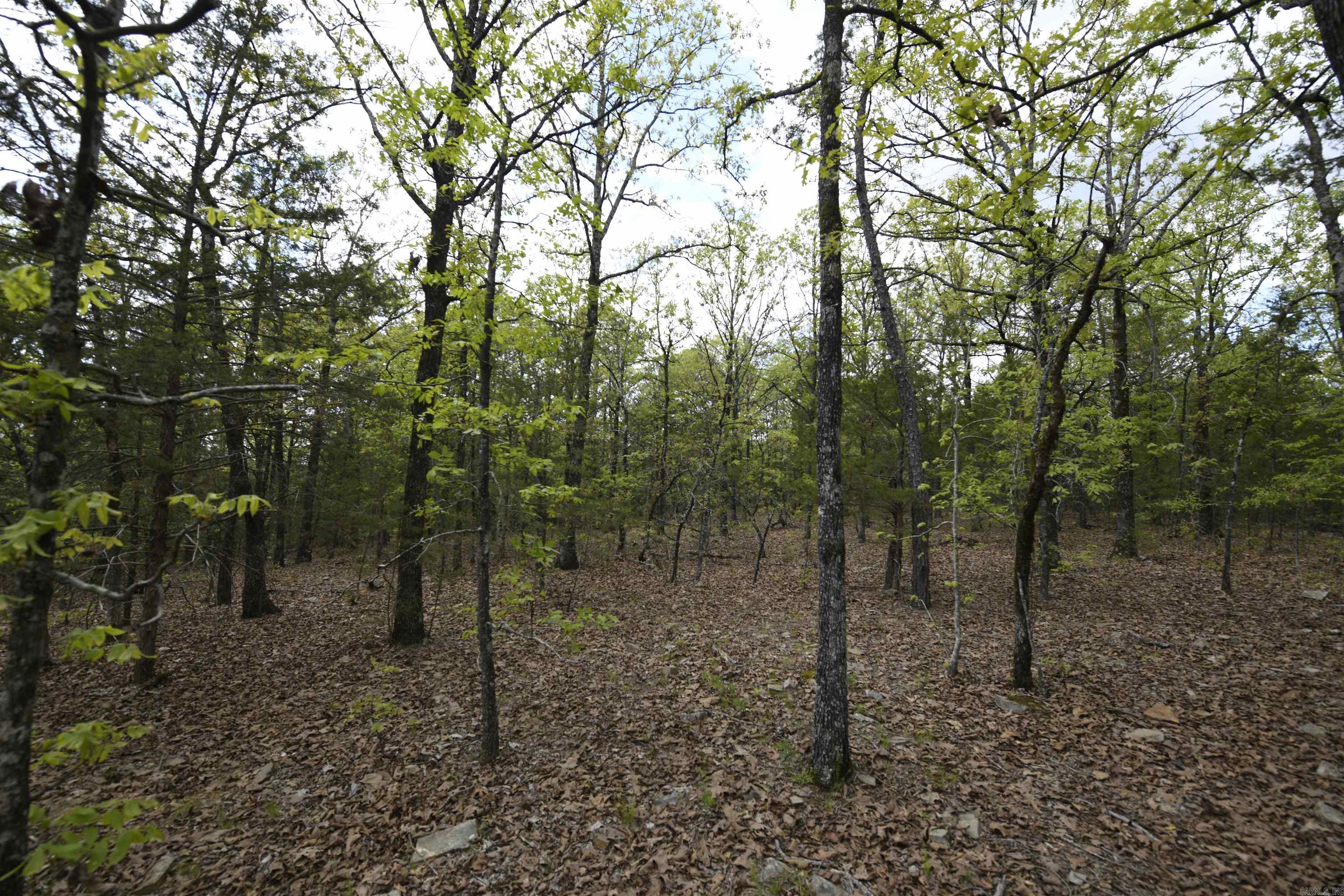 Tbd Rebecca's Road Property Photo 16
