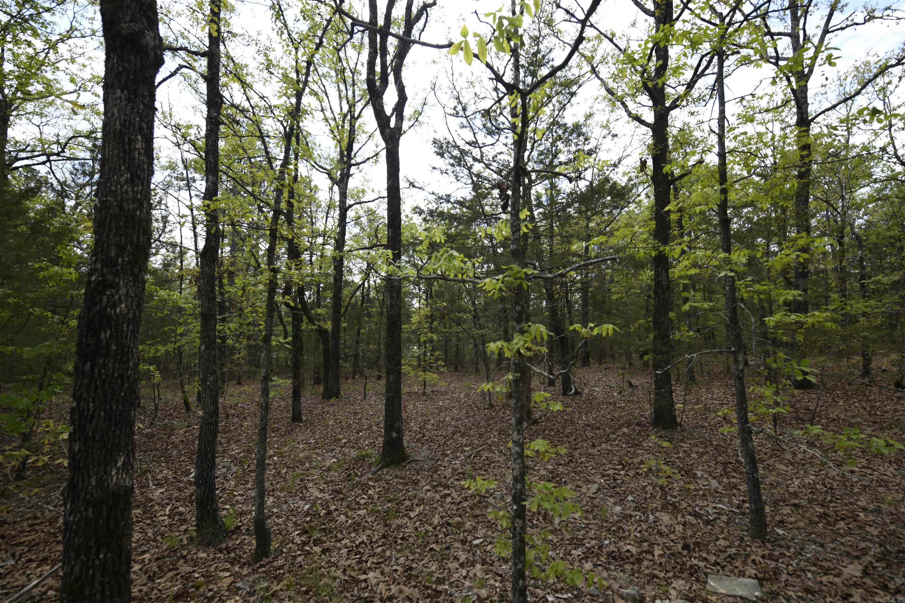 Tbd Rebecca's Road Property Photo 17