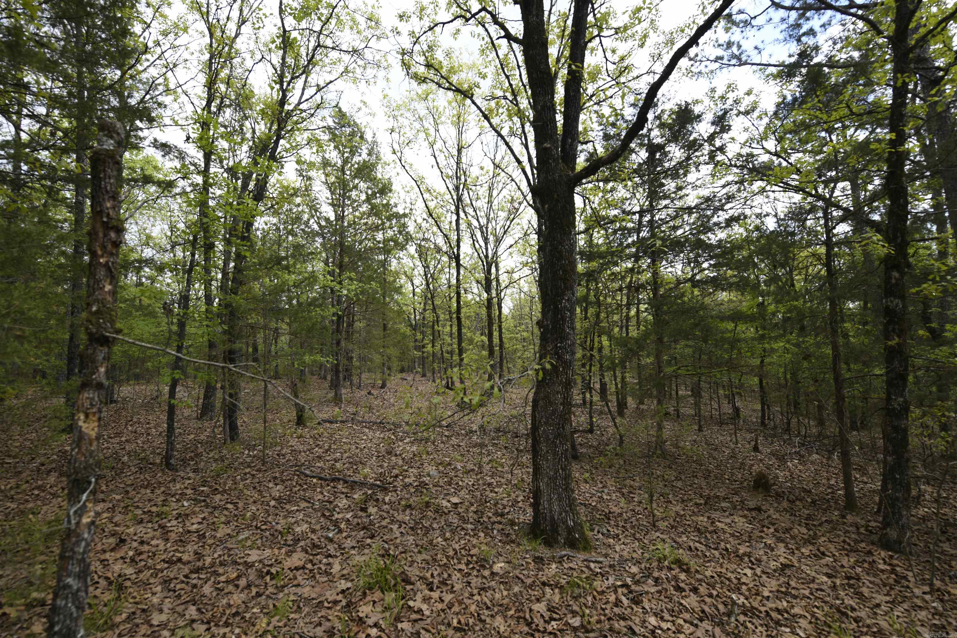 Tbd Rebecca's Road Property Photo 18