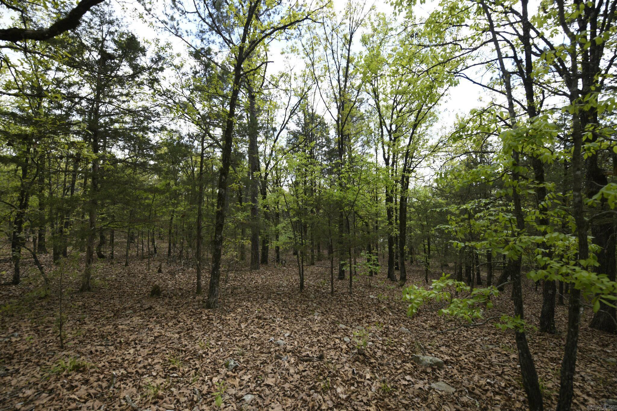 Tbd Rebecca's Road Property Photo 19