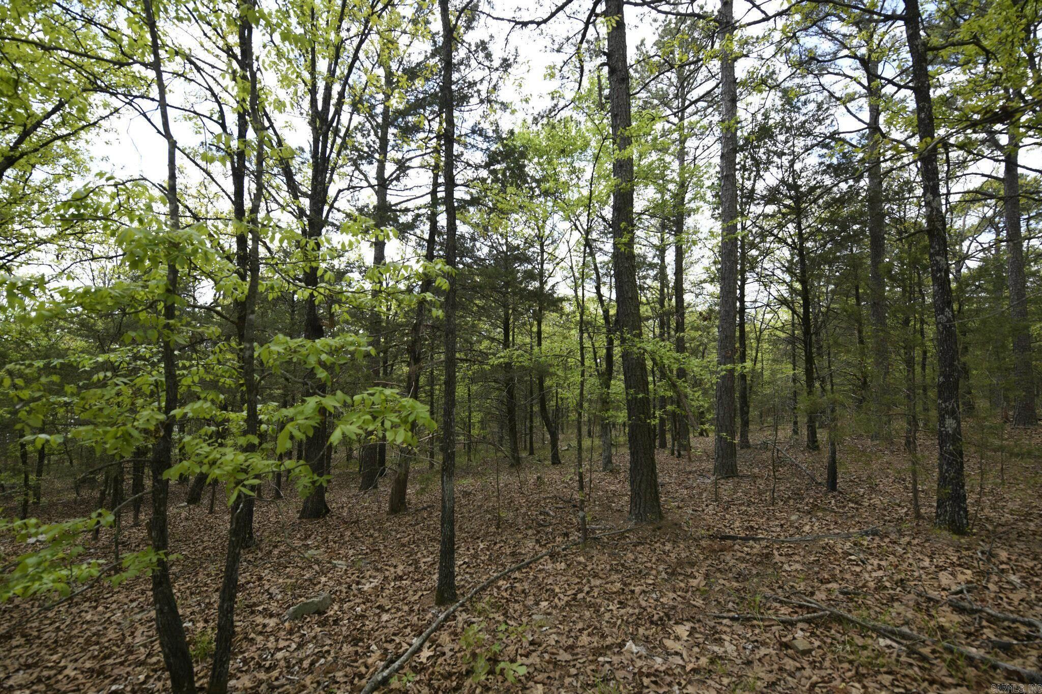Tbd Rebecca's Road Property Photo 20