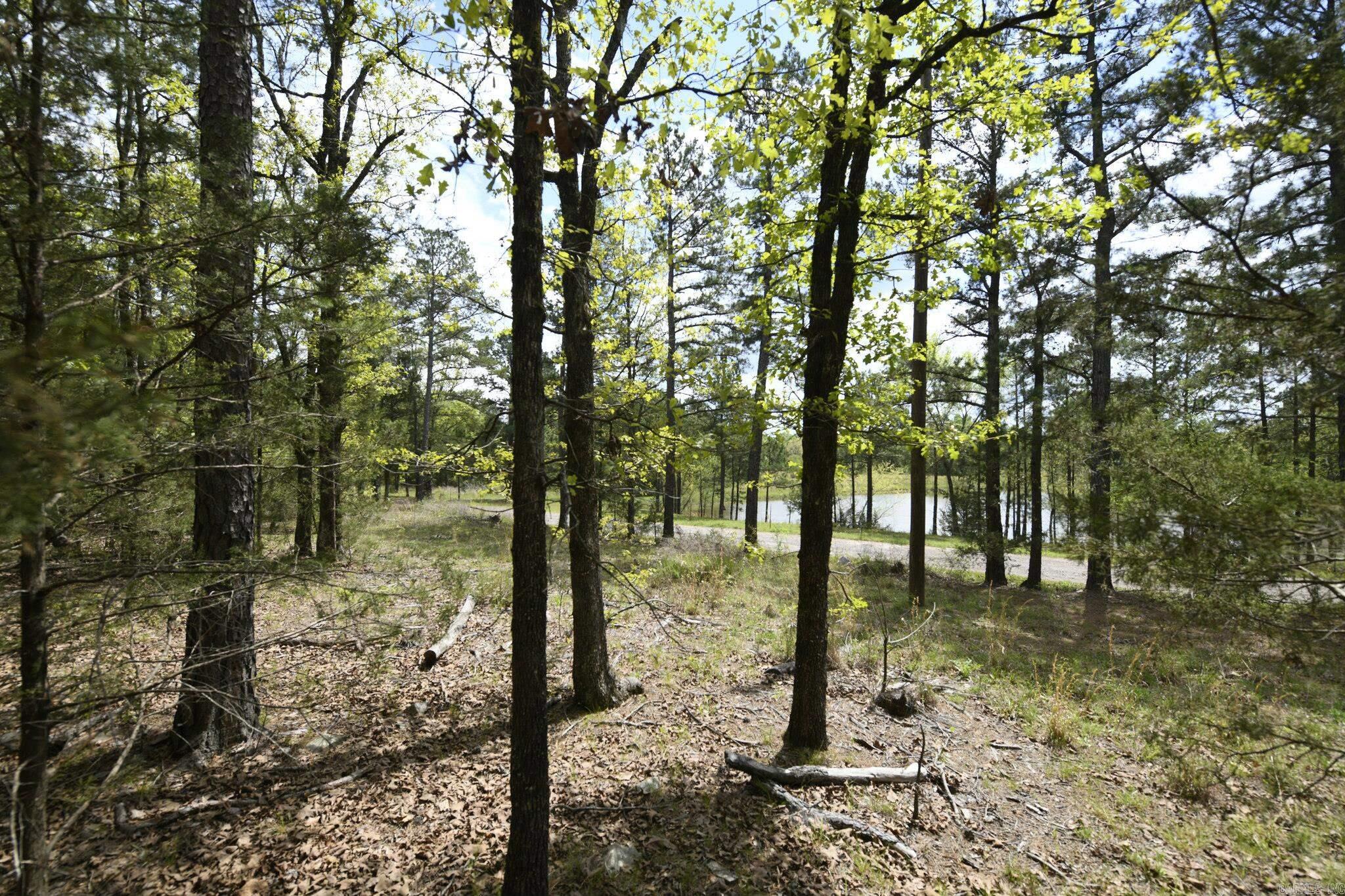 Tbd Rebecca's Road Property Photo 21