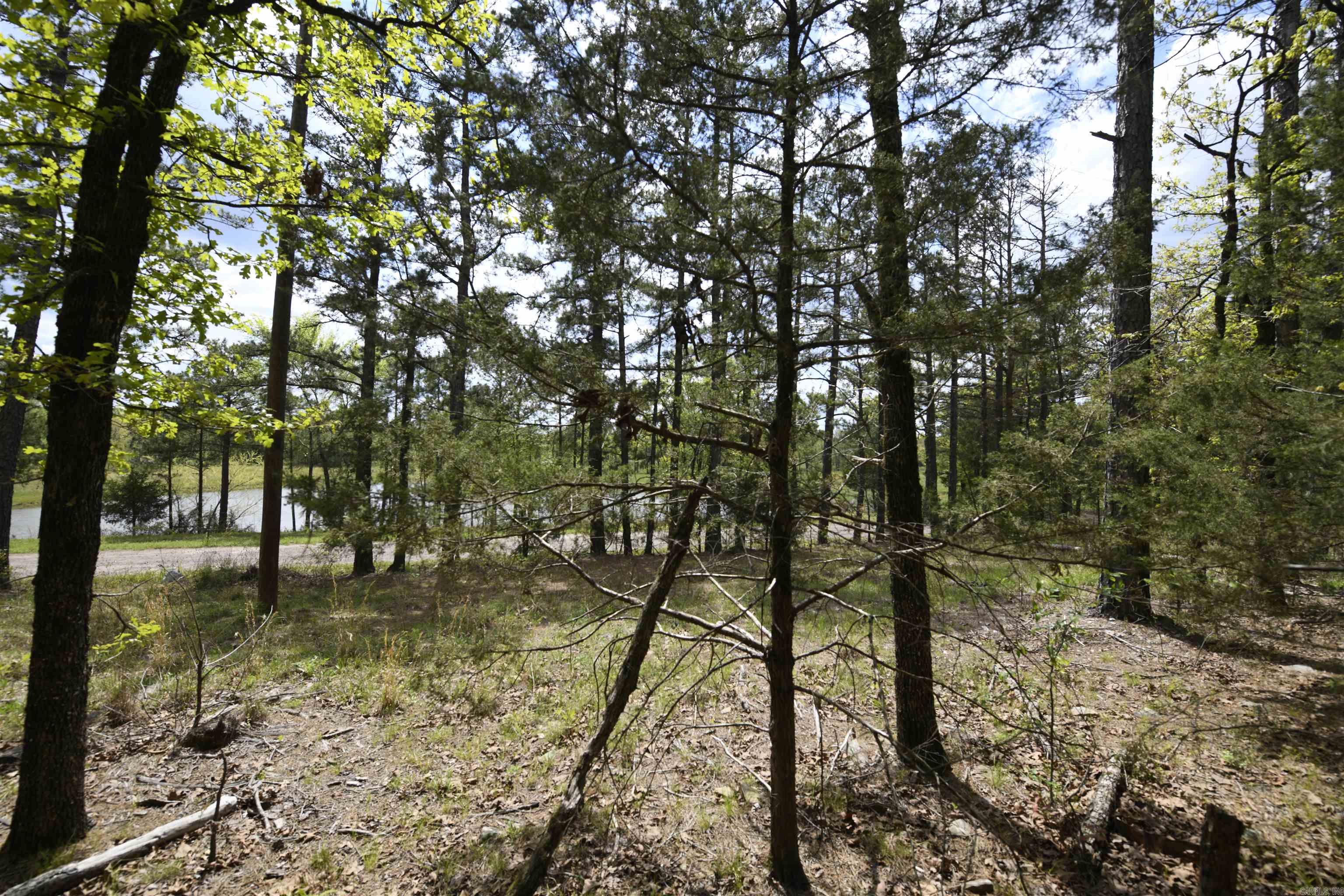 Tbd Rebecca's Road Property Photo 22