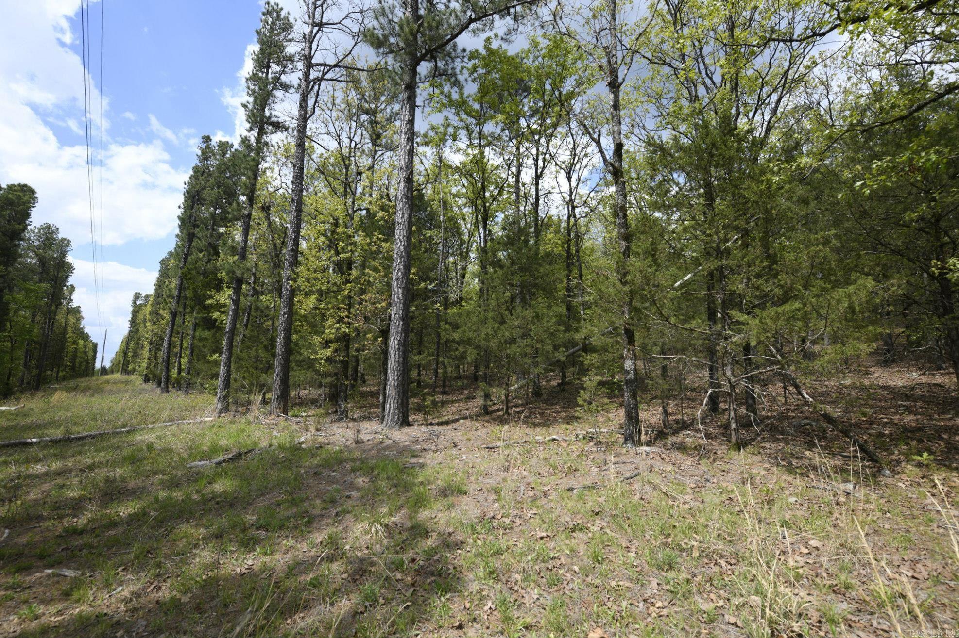 Tbd Rebecca's Road Property Photo 23