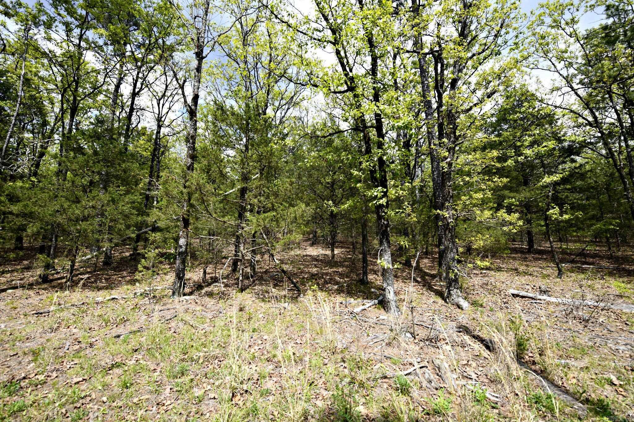 Tbd Rebecca's Road Property Photo 24