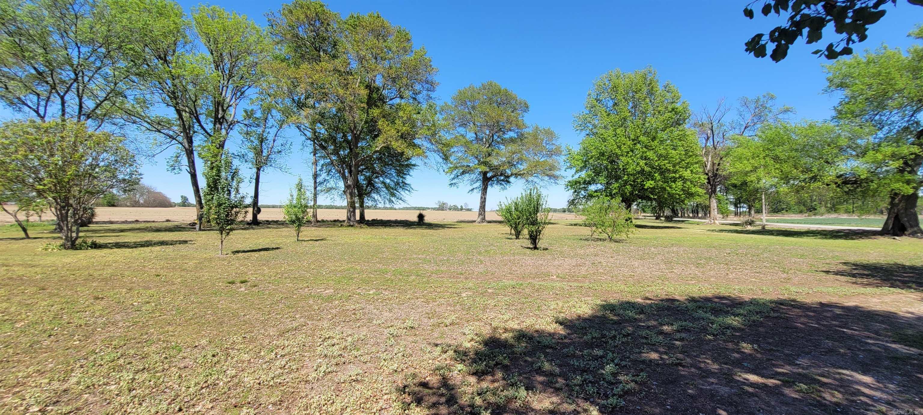 5299 Highway 33 Property Photo 8