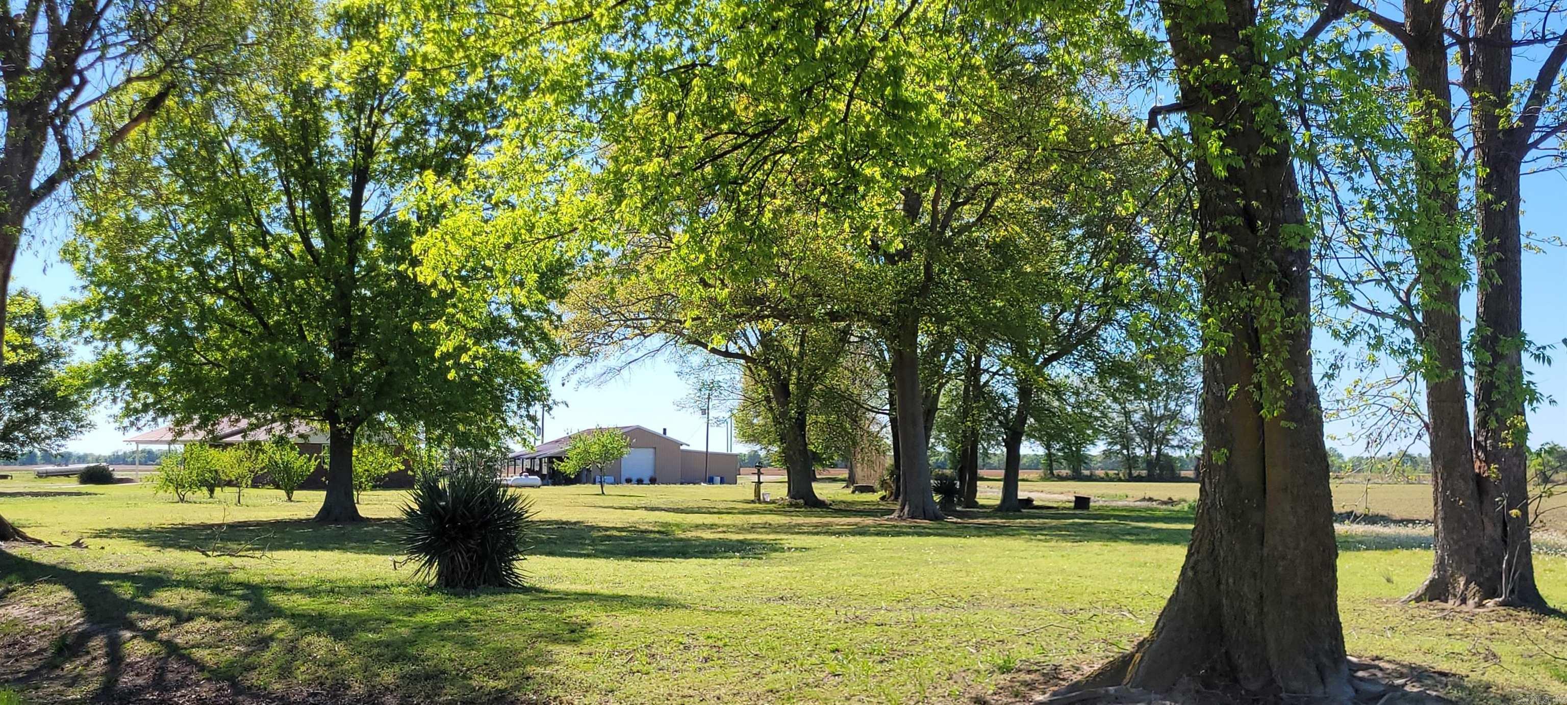 5299 Highway 33 Property Photo 9