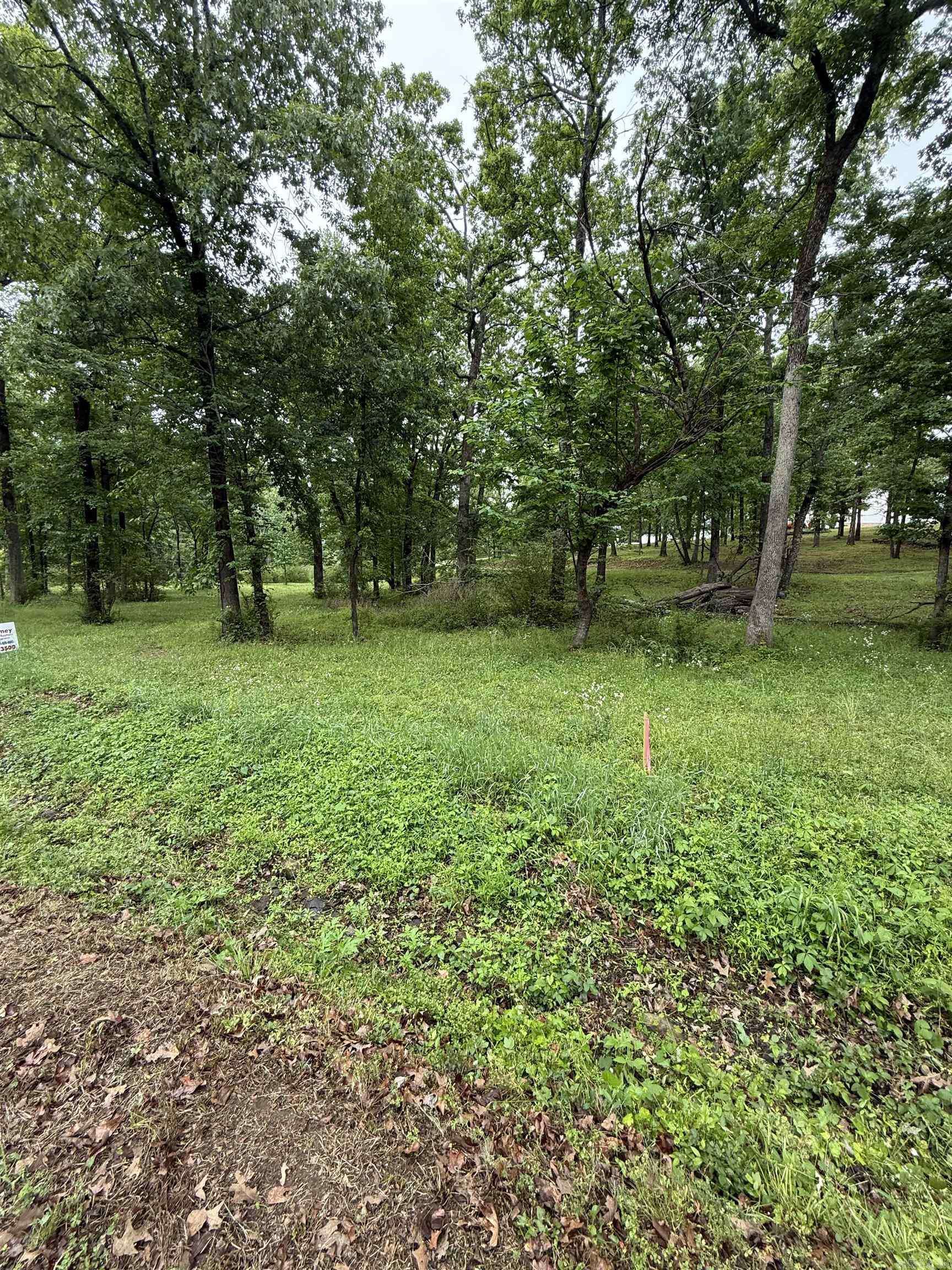 00 Sun Vista Property Photo 6