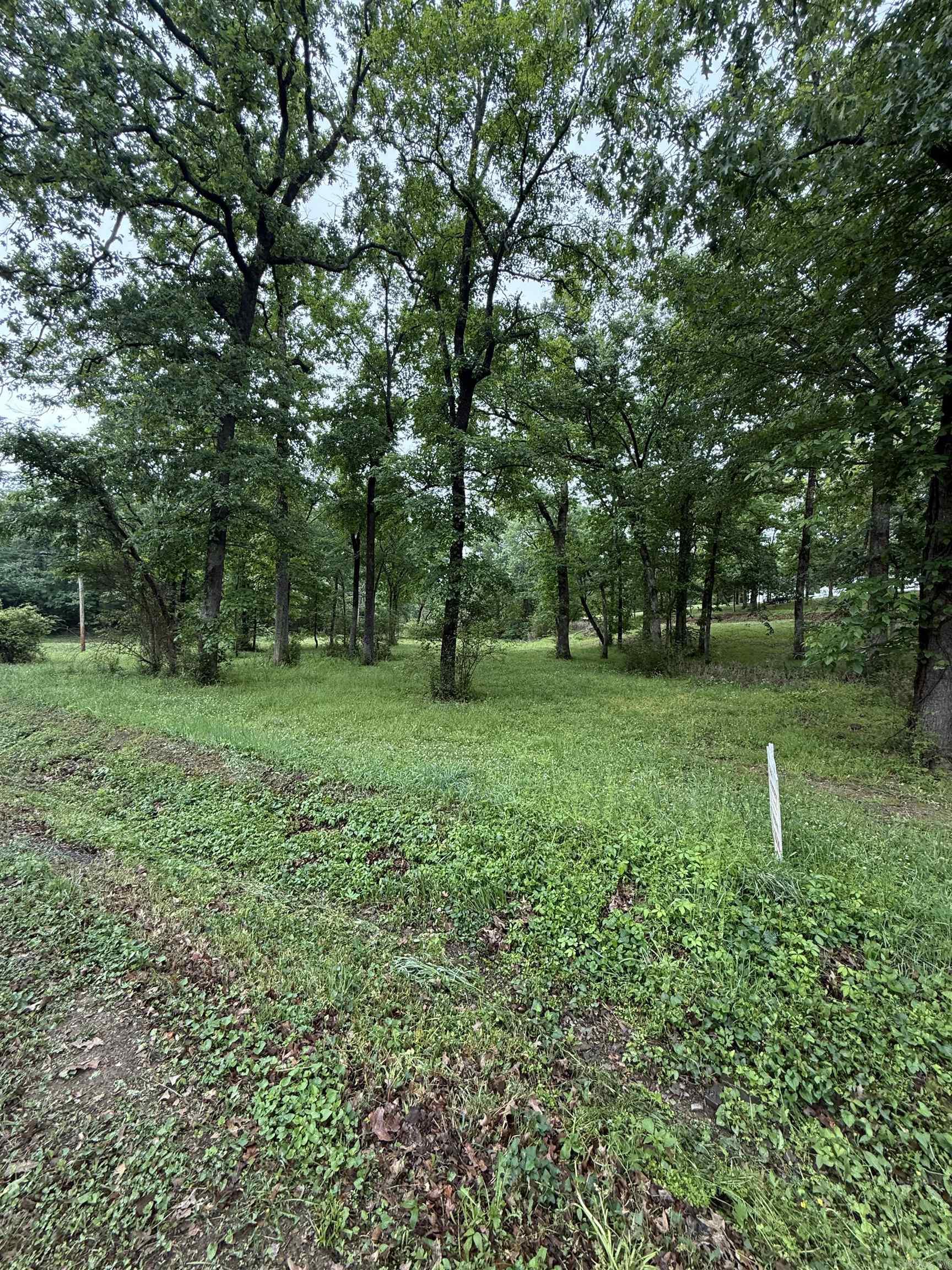 00 Sun Vista Property Photo 7