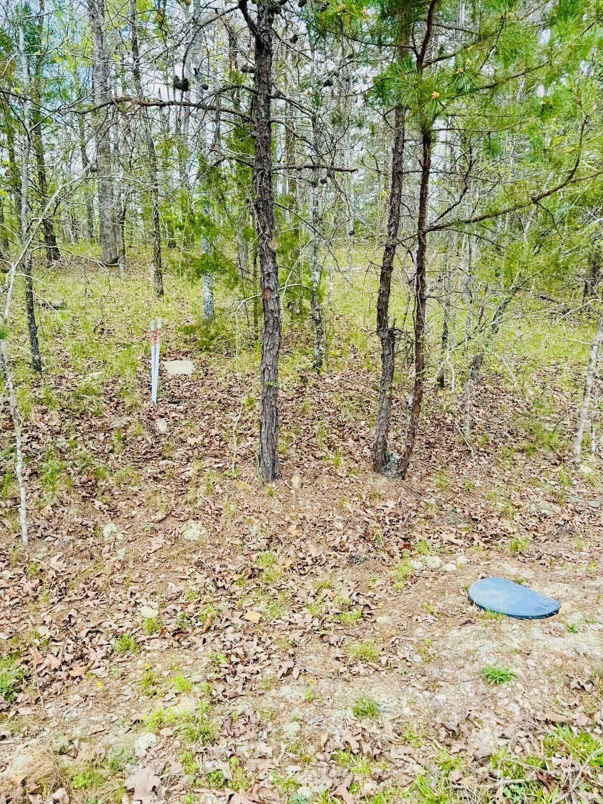 00 Halago Place Property Photo 5