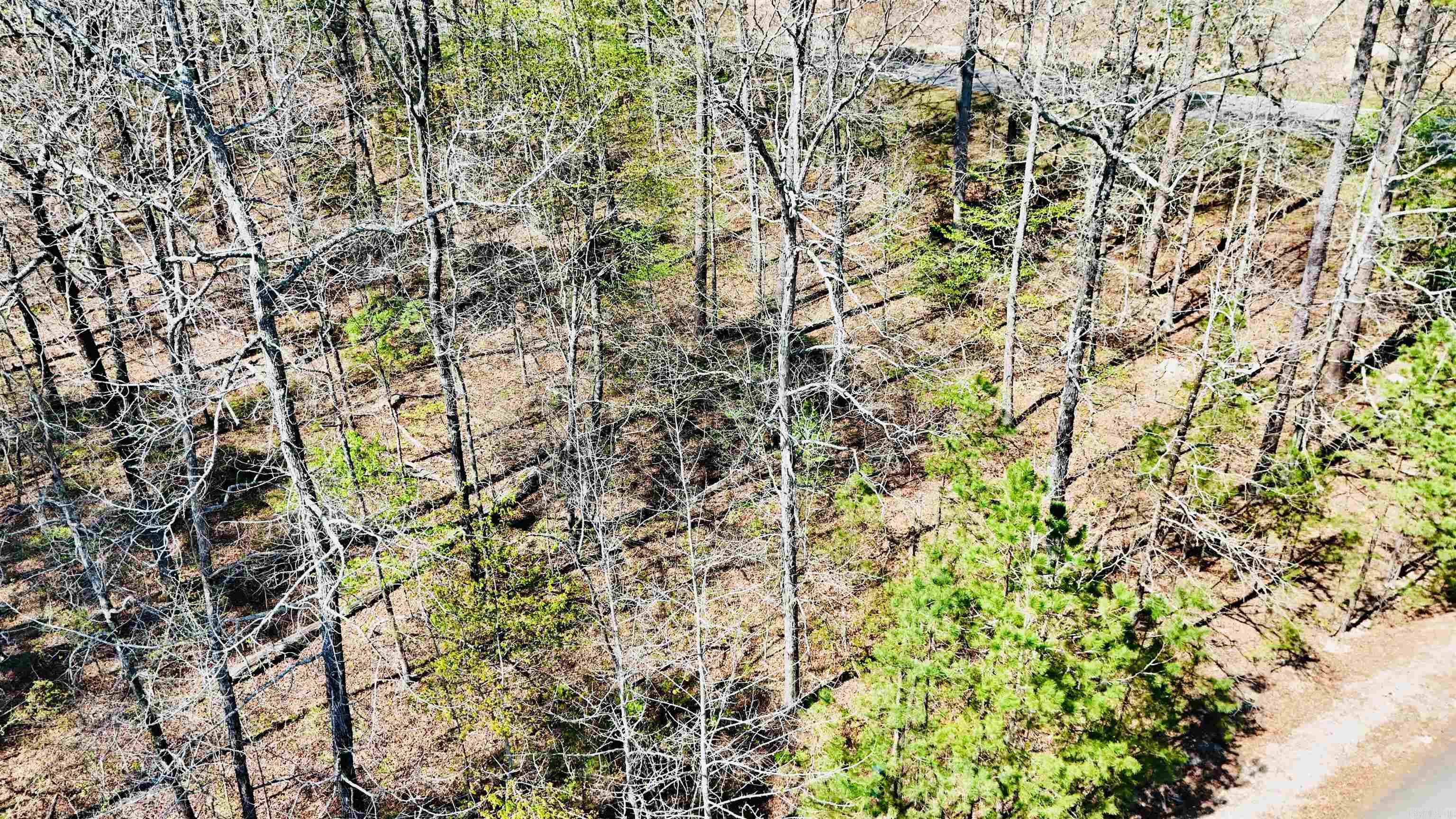 00 Hendaya Way Property Photo 2