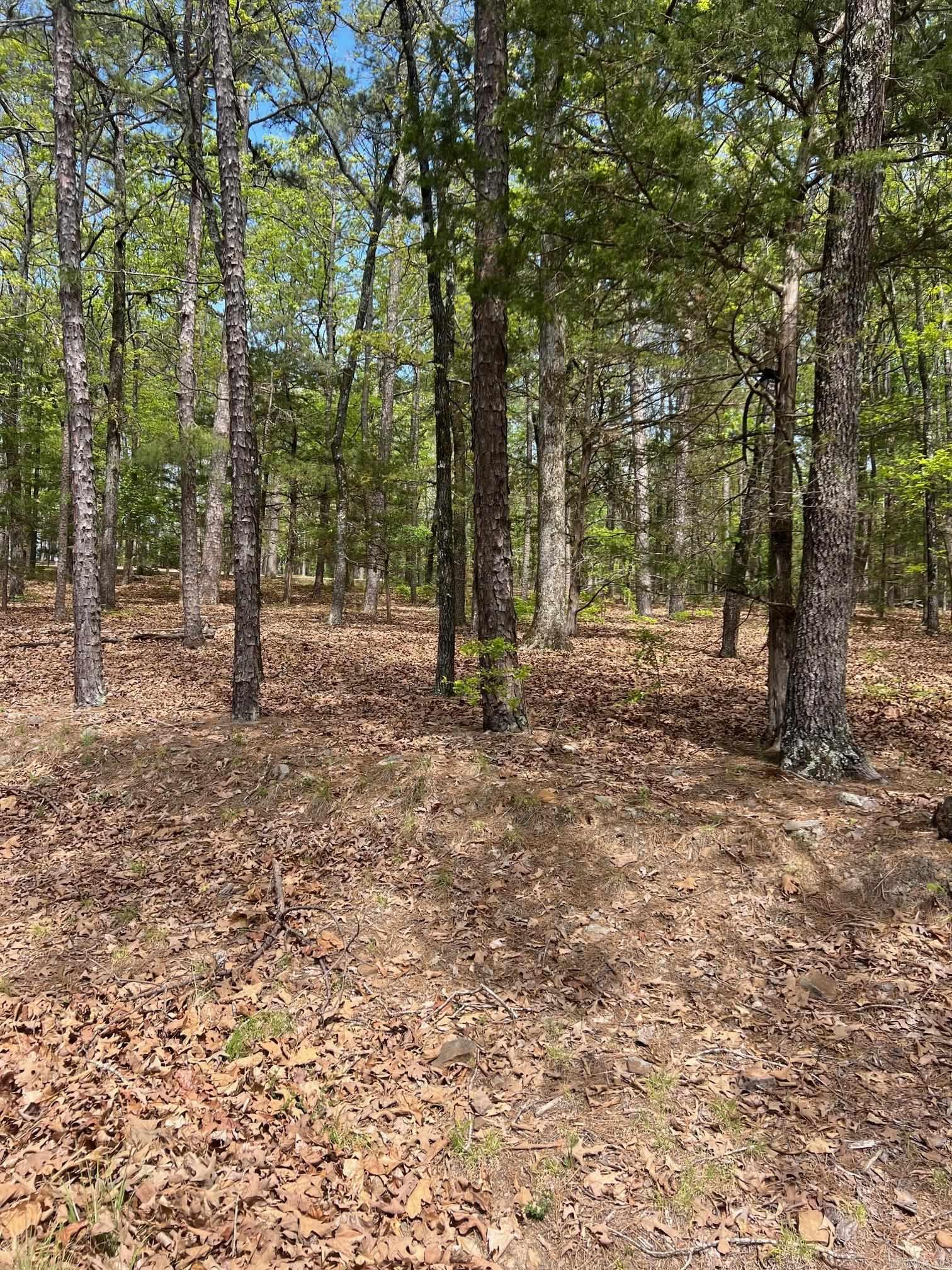 725 Valhalla Property Photo 10
